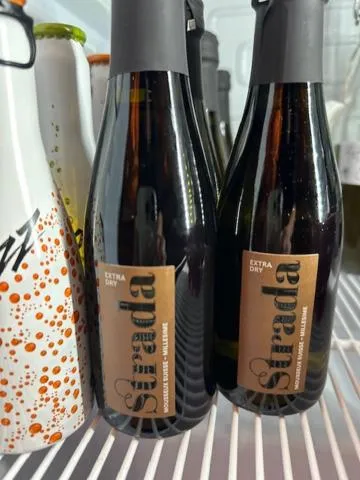 Lounge or bar in Sport-Lodge Klosters