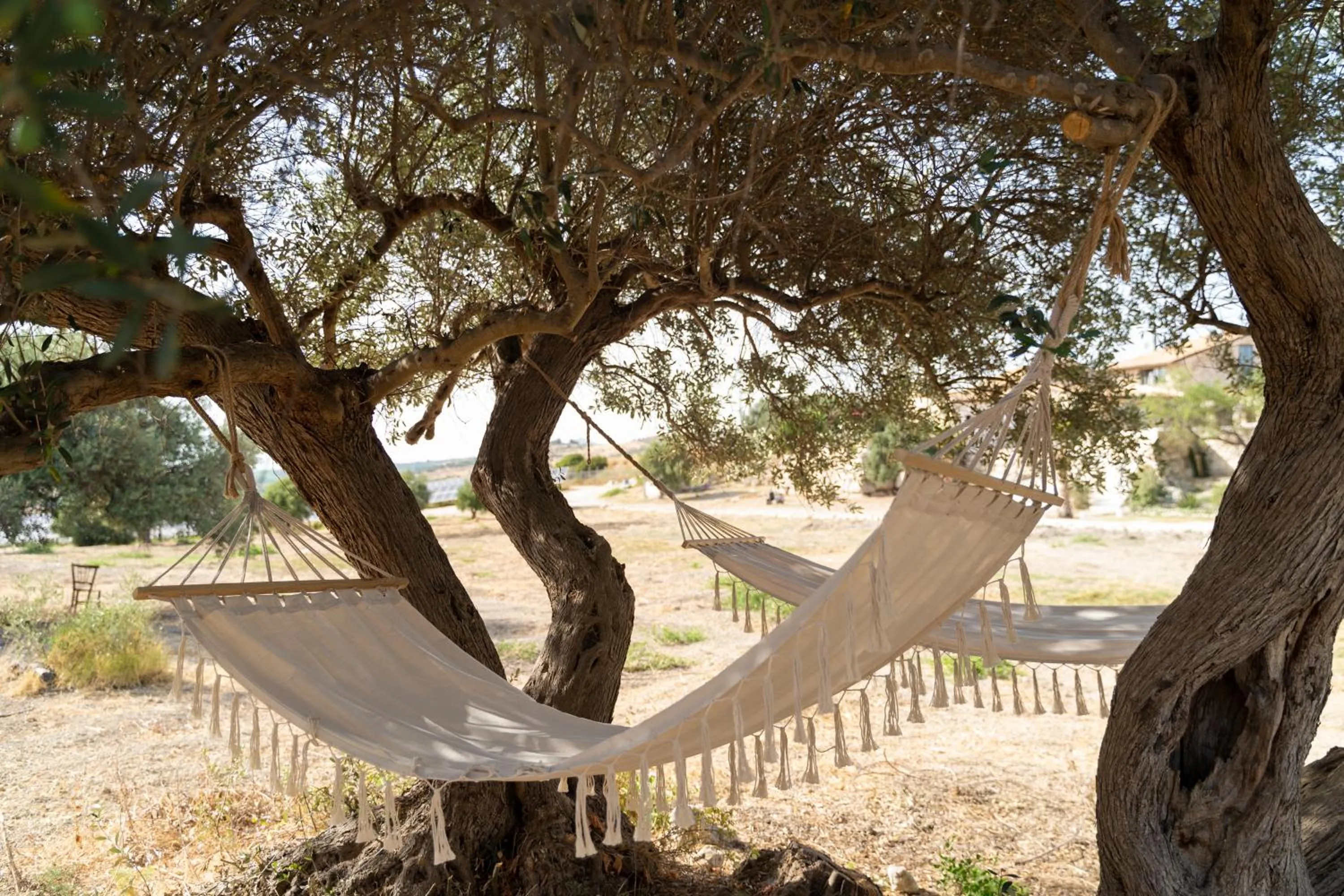 Natural landscape in Borgo delle Pietre