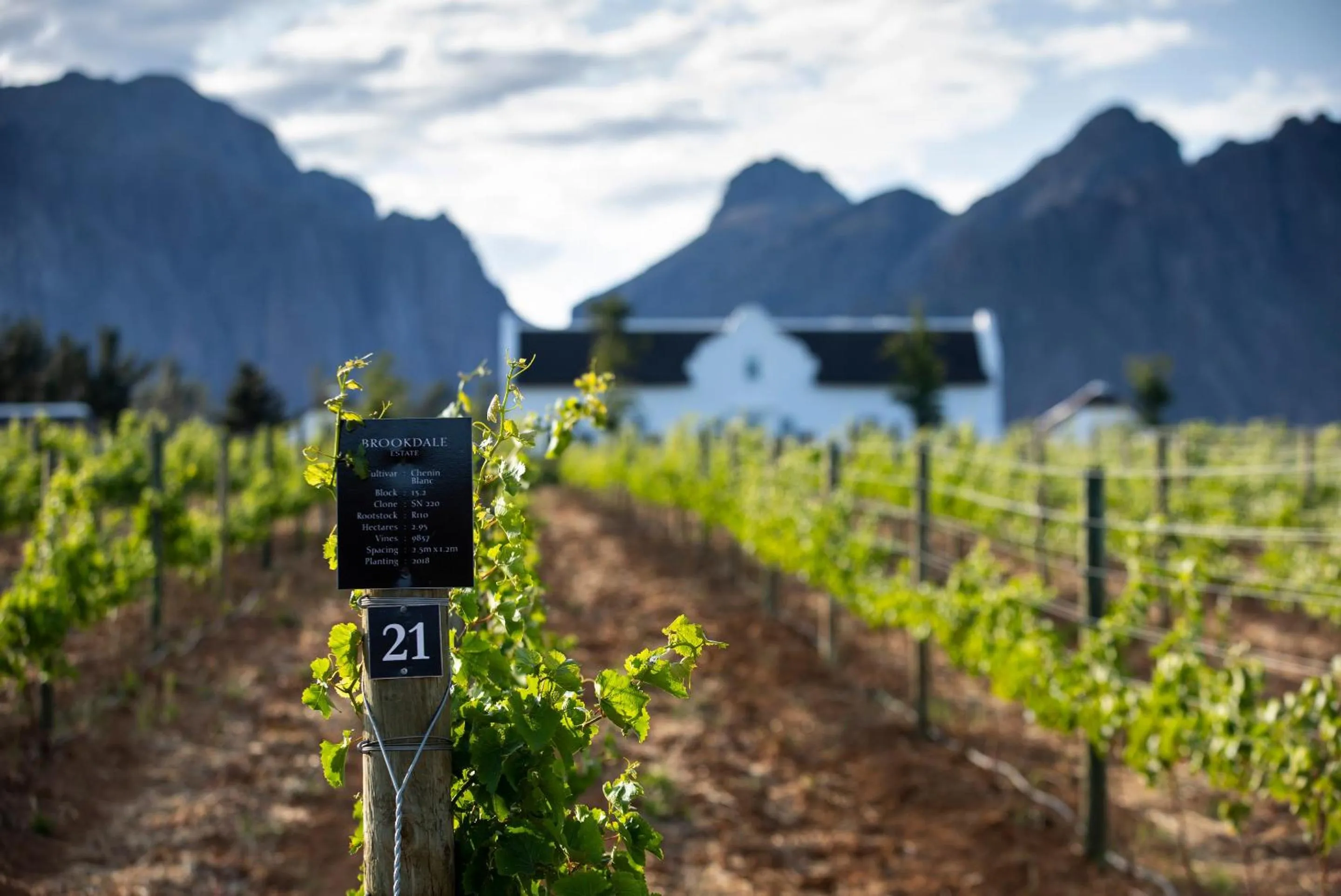 Neighbourhood in Brookdale Estate - Manor House