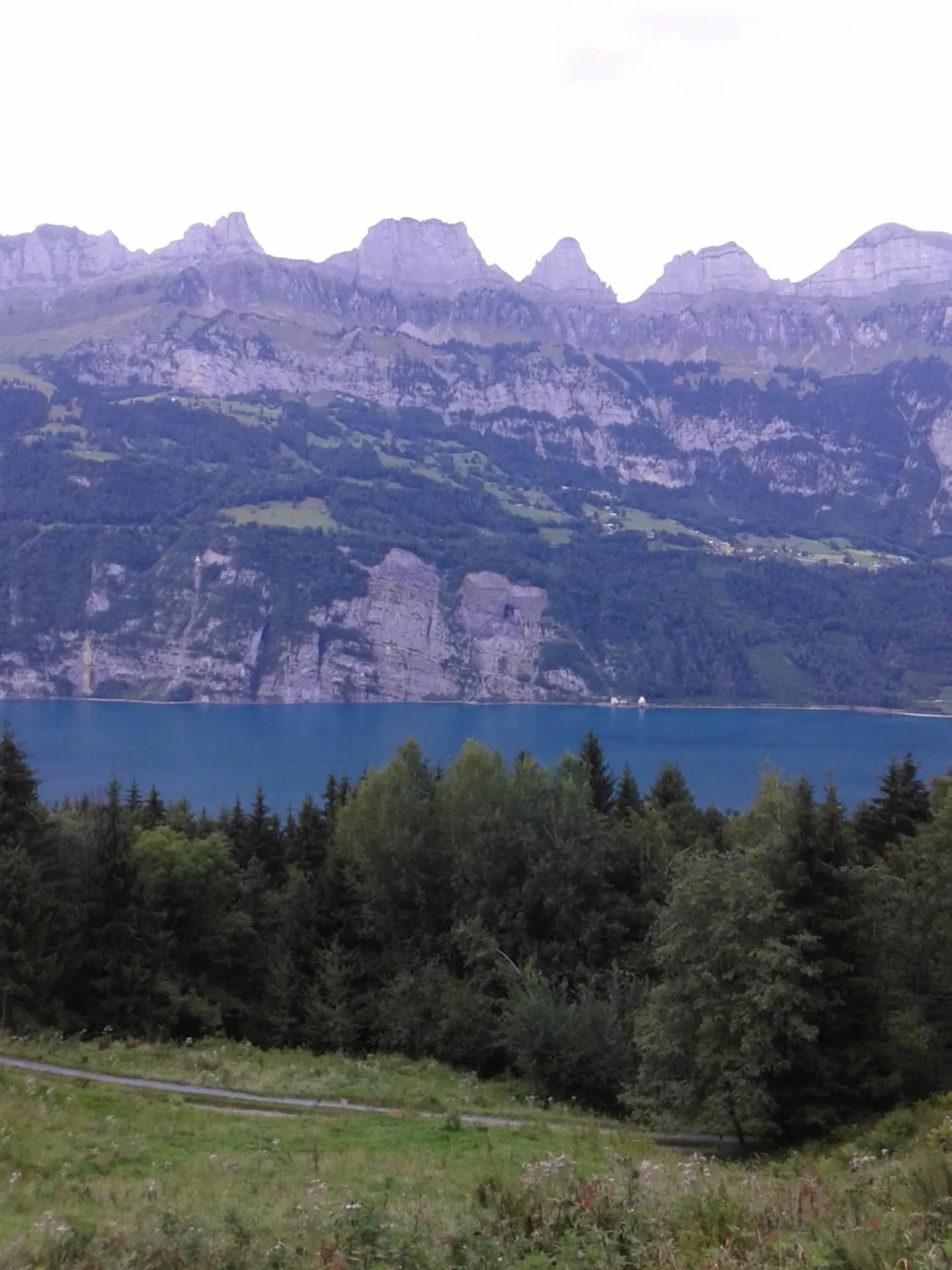Natural landscape in Hotel Schiffahrt