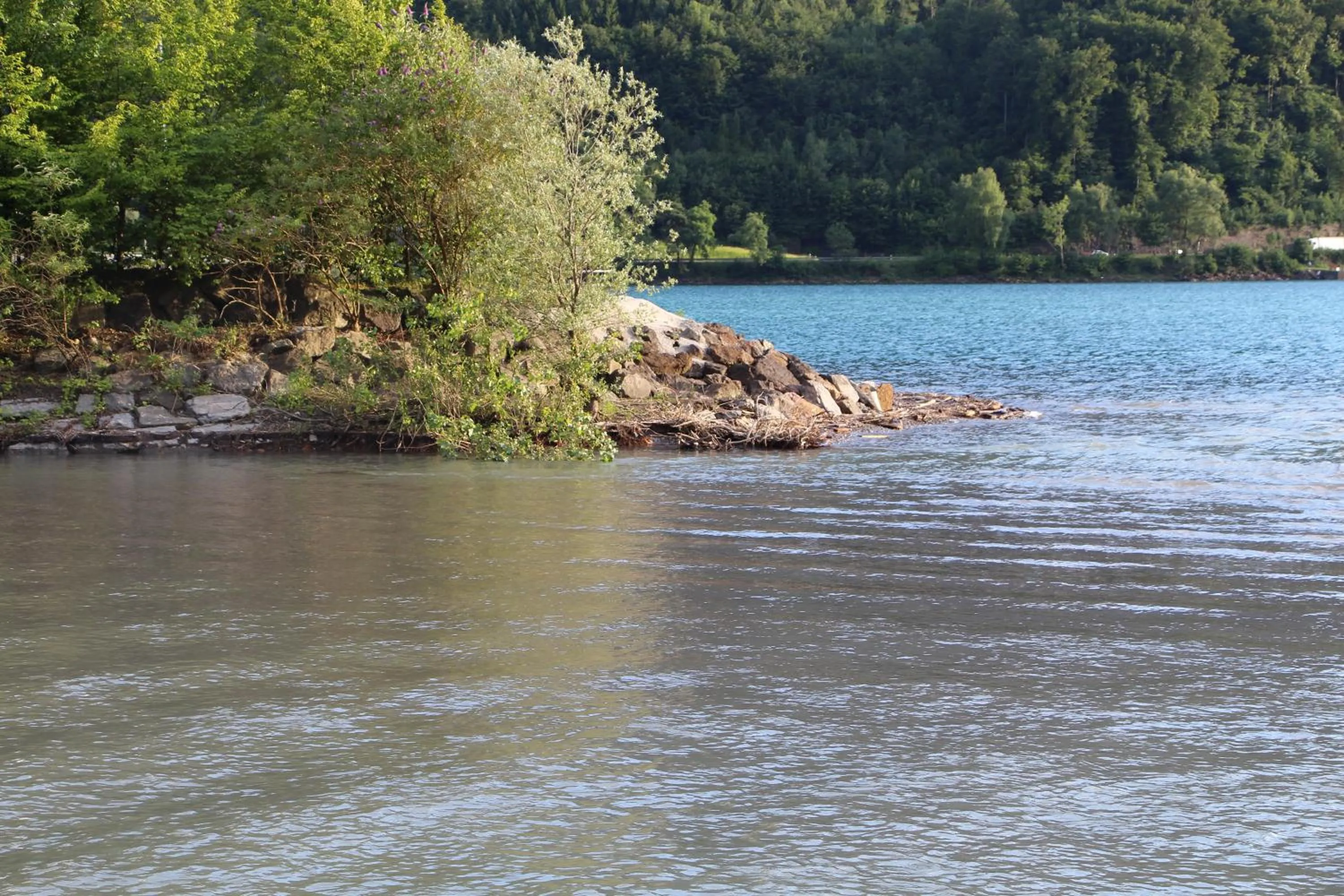 Natural landscape in Hotel Schiffahrt