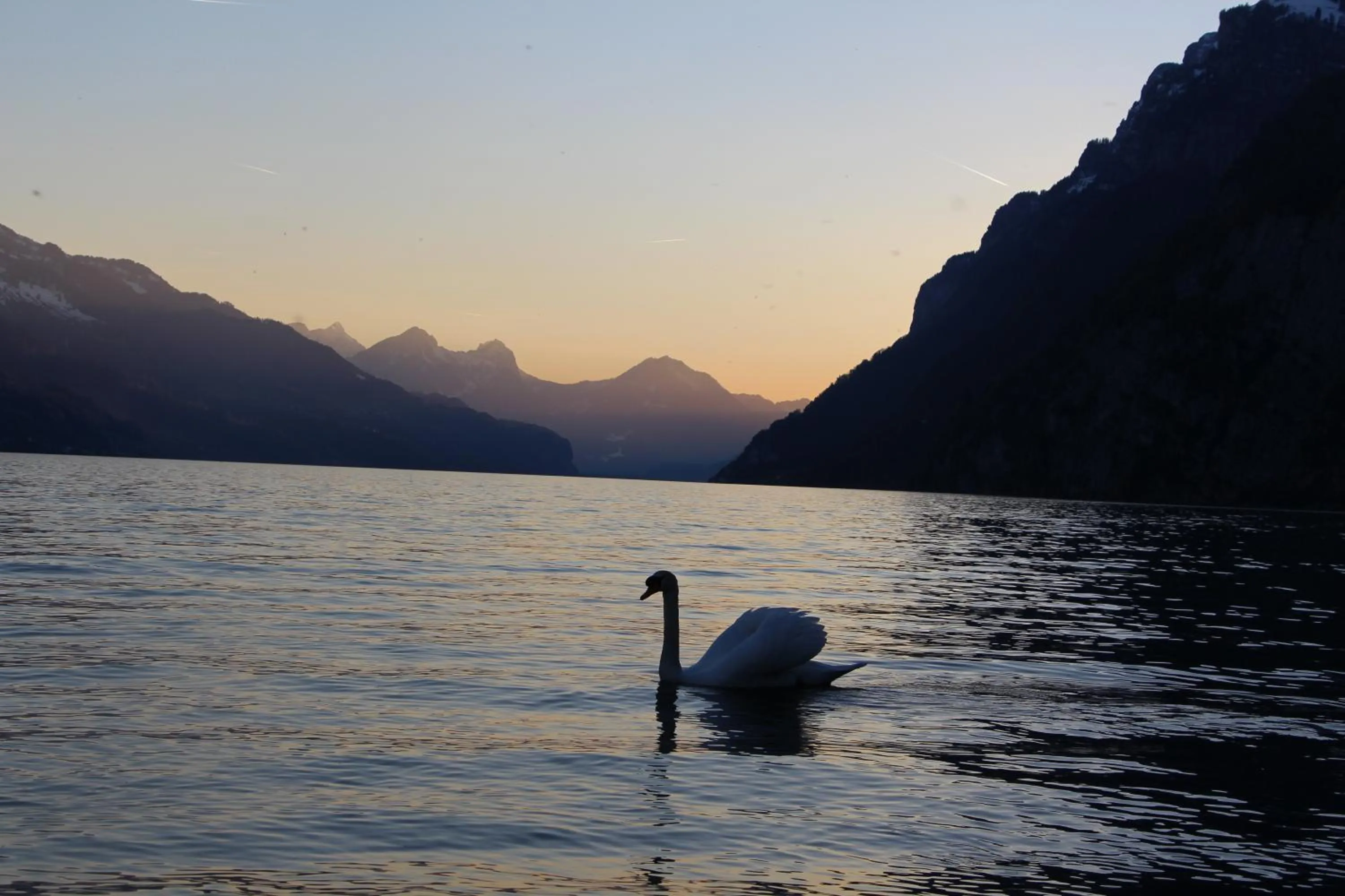 Natural landscape in Hotel Schiffahrt