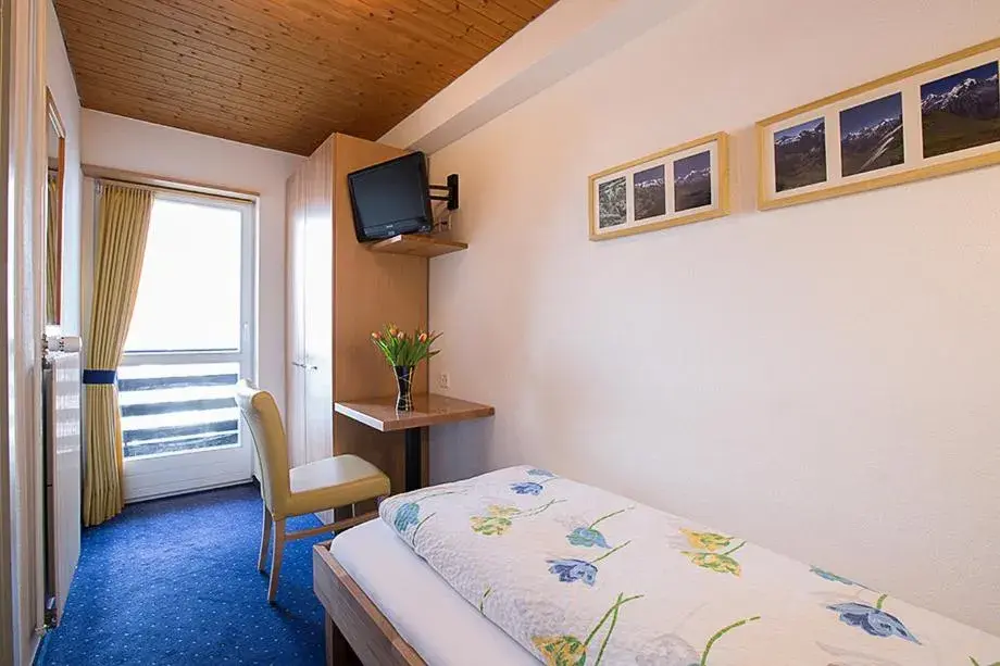 Single Room with Balcony in Hotel Alpina Single Room with Balcony in Hotel Alpina