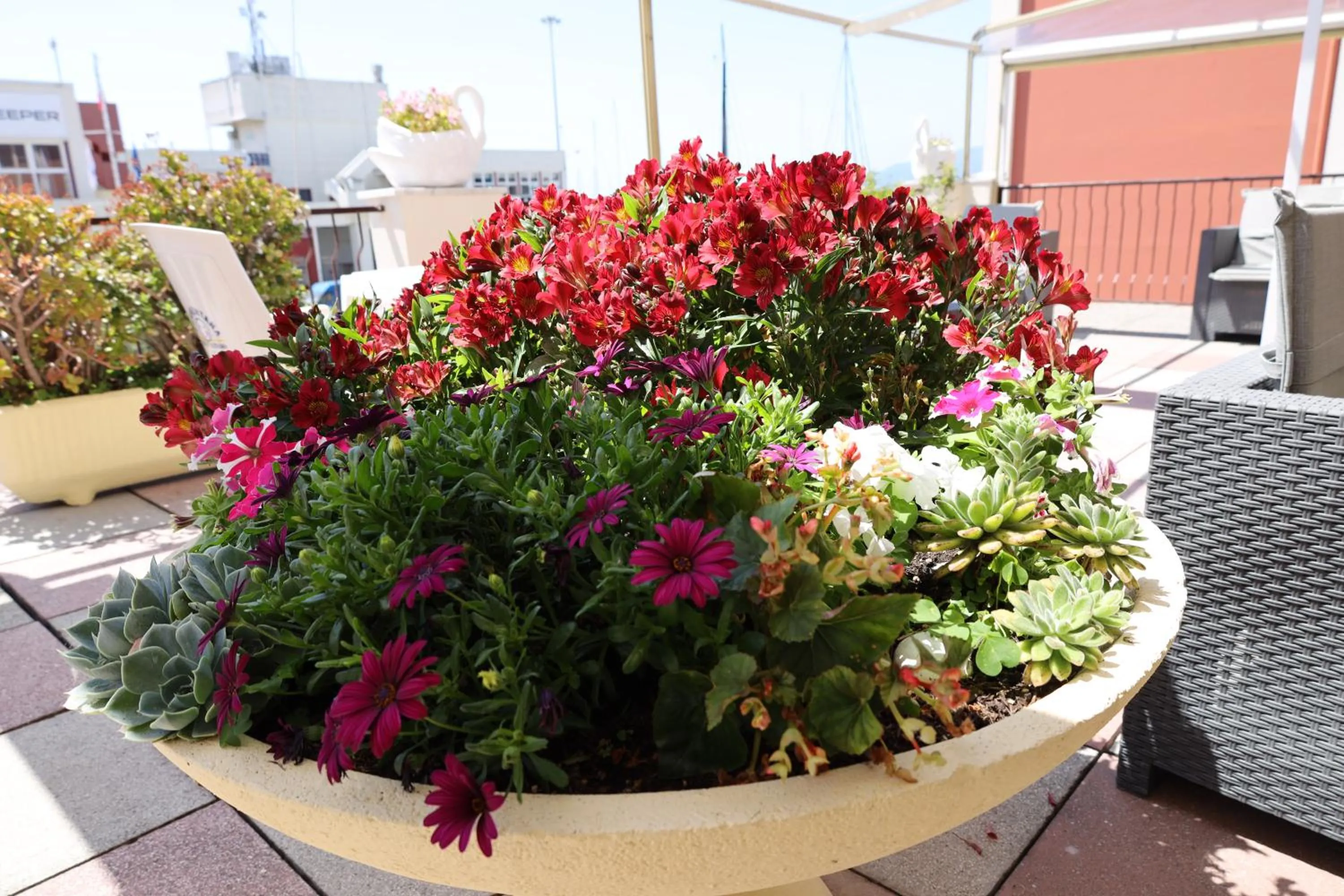 Property building in Albergo Stella Di Mare