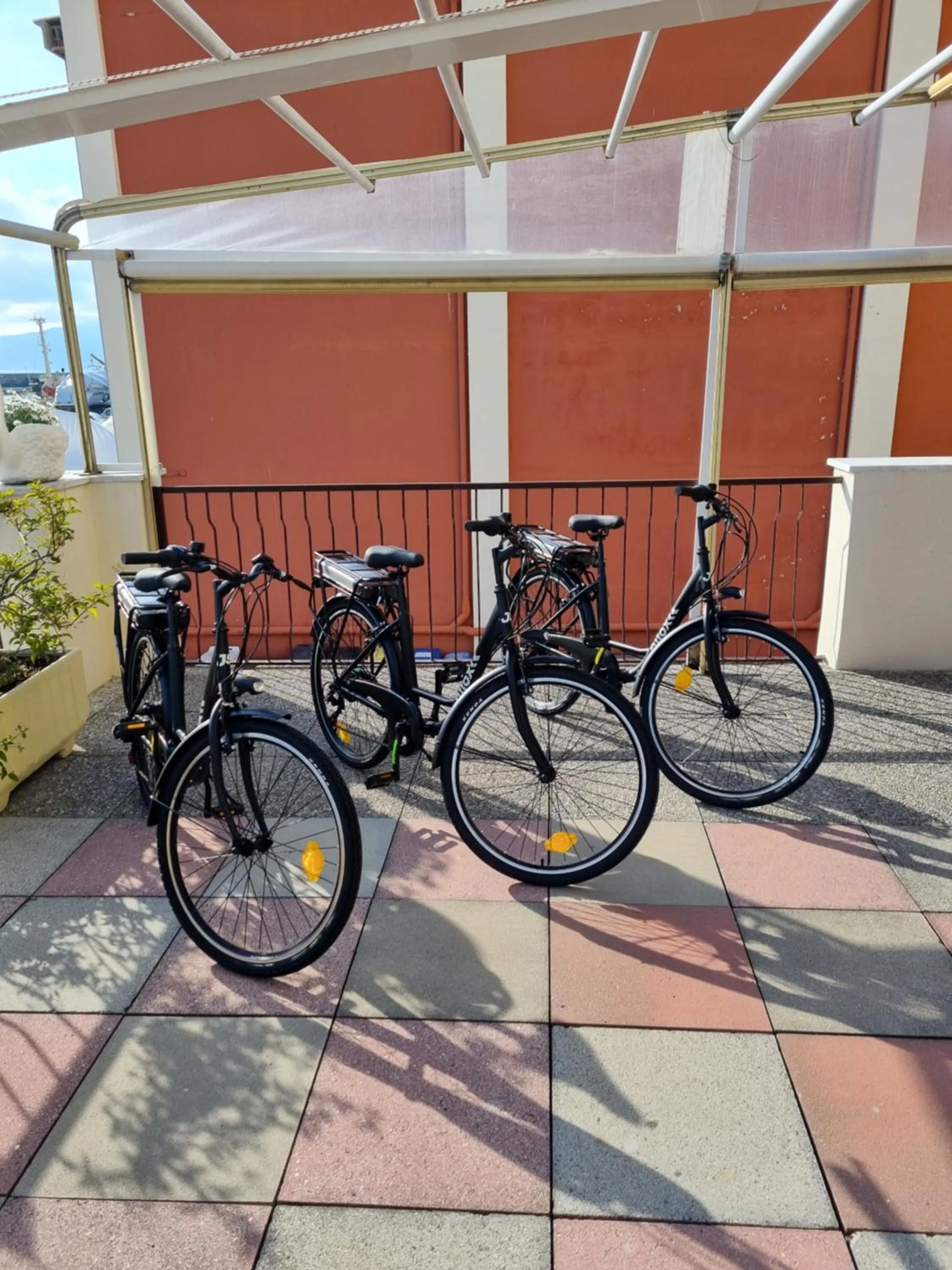 Activities in Albergo Stella Di Mare