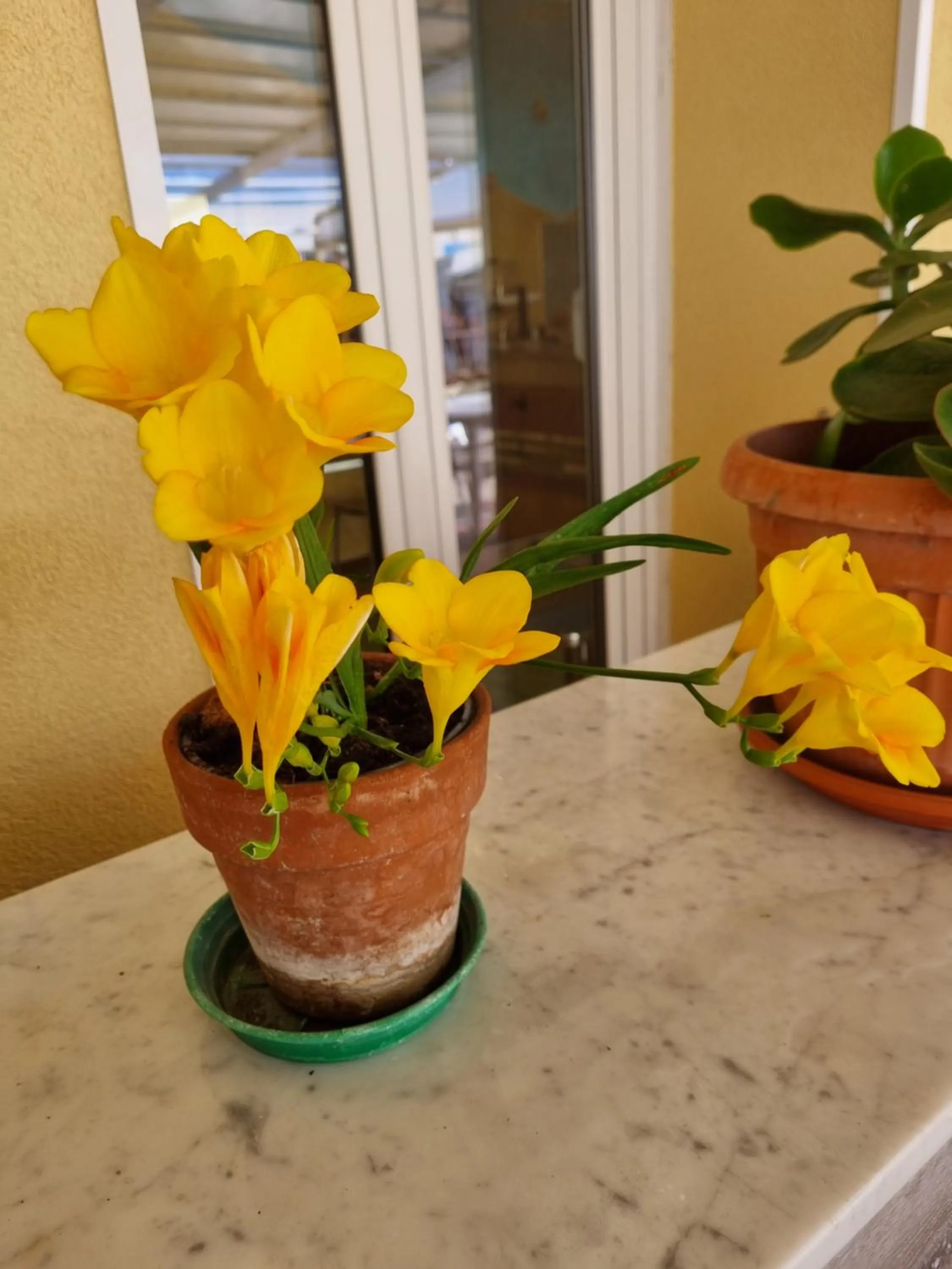 Facade/entrance in Albergo Stella Di Mare