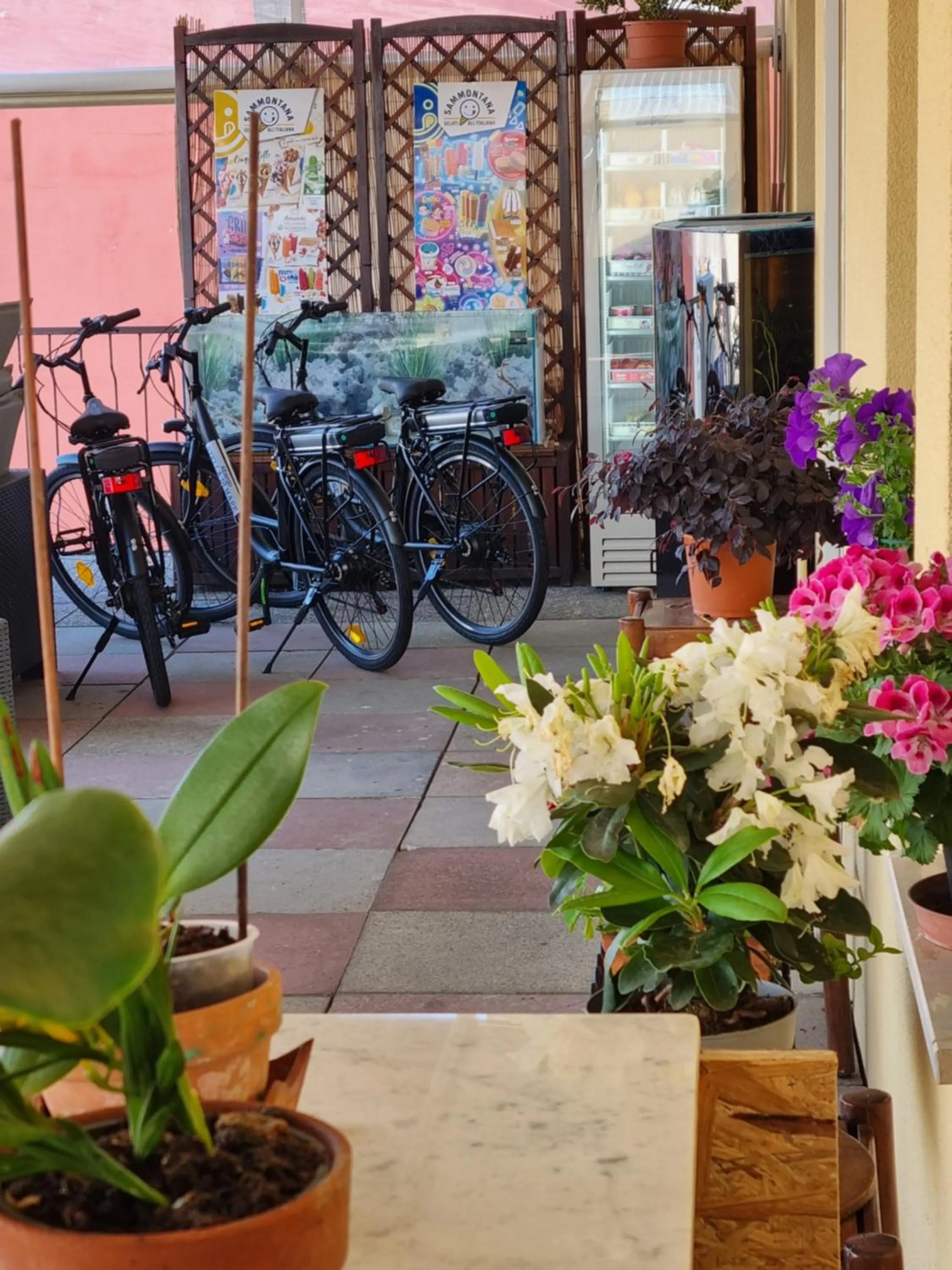 Activities in Albergo Stella Di Mare