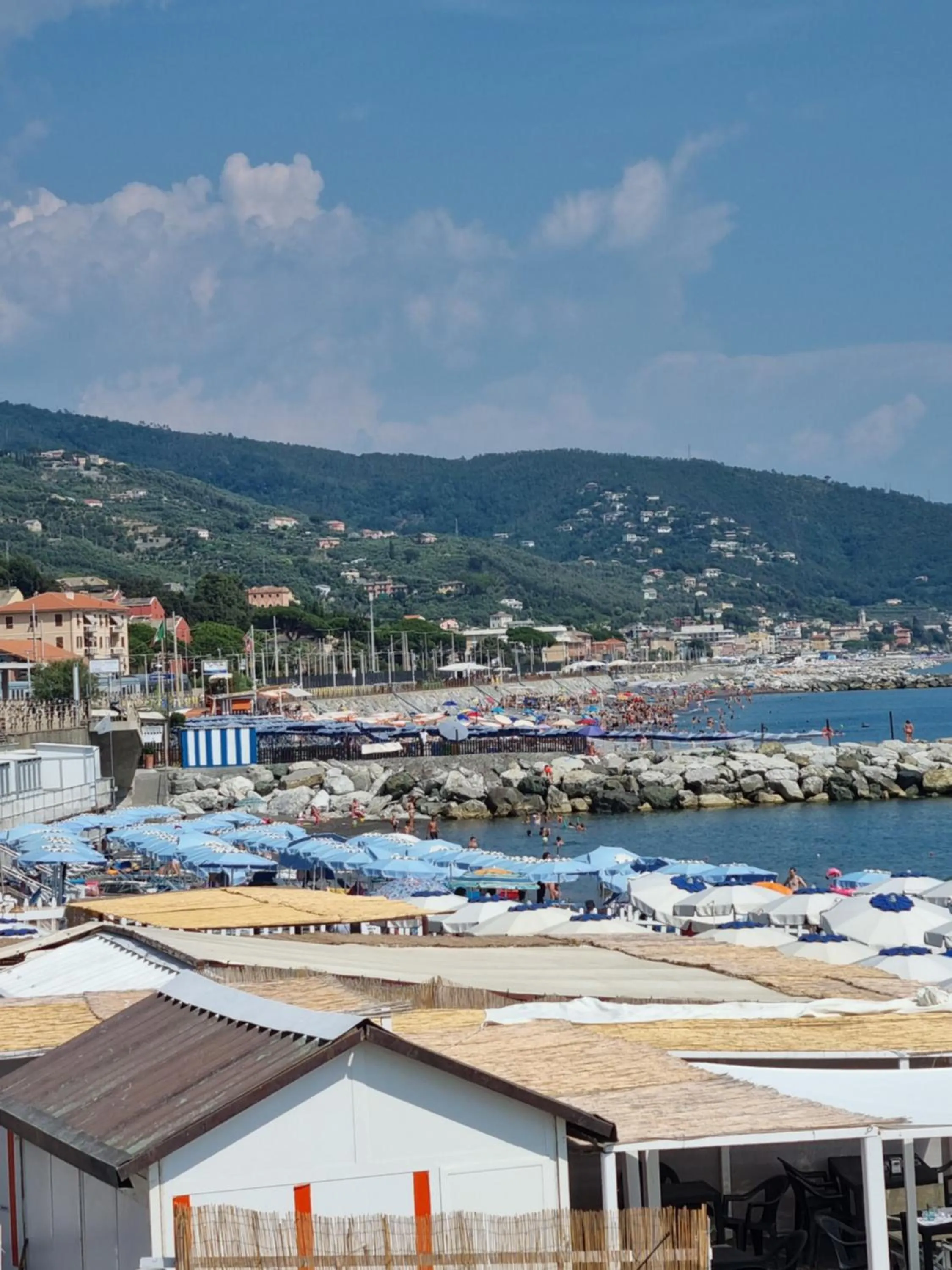 Neighbourhood in Albergo Stella Di Mare