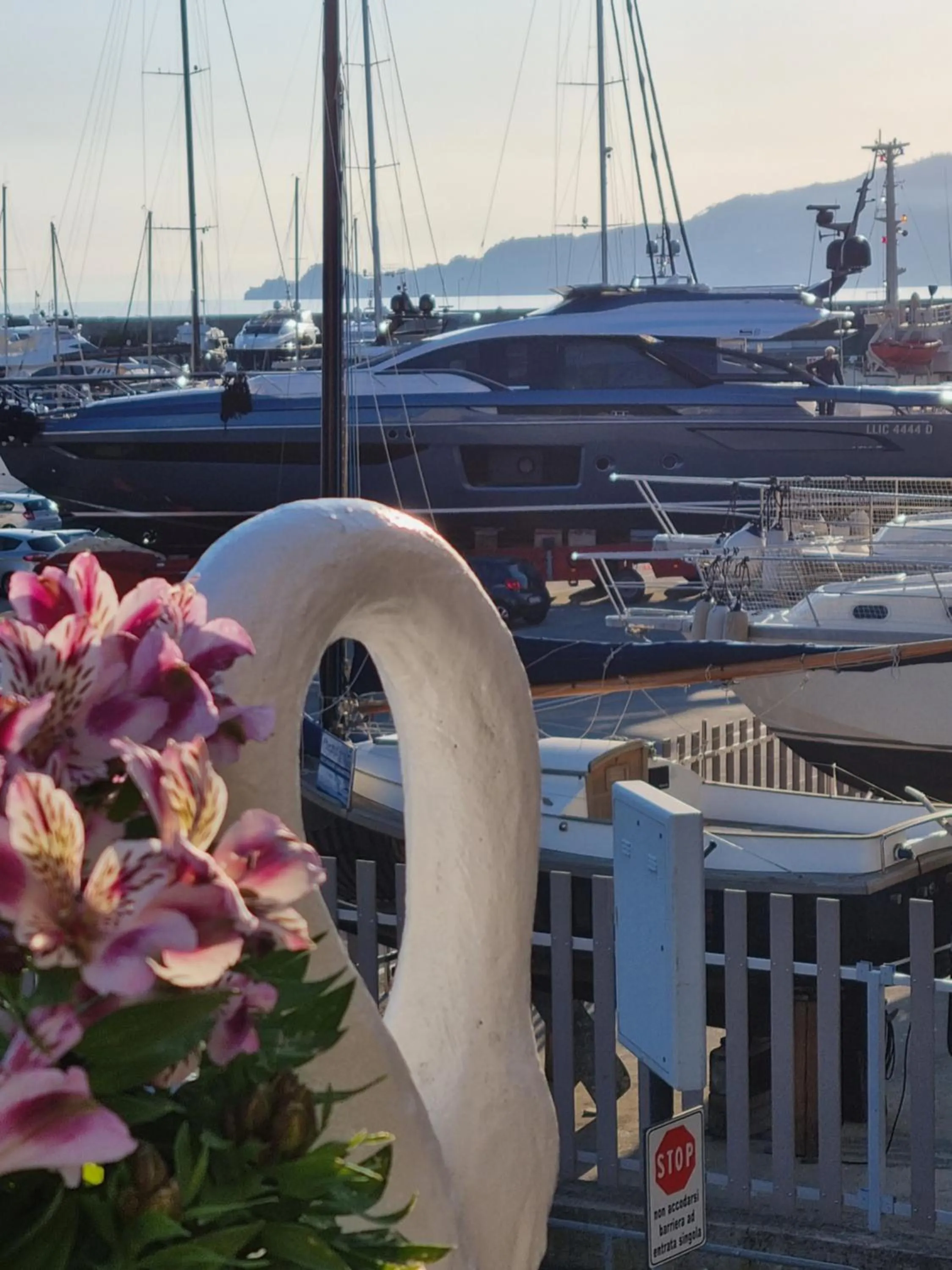 Balcony/Terrace in Albergo Stella Di Mare