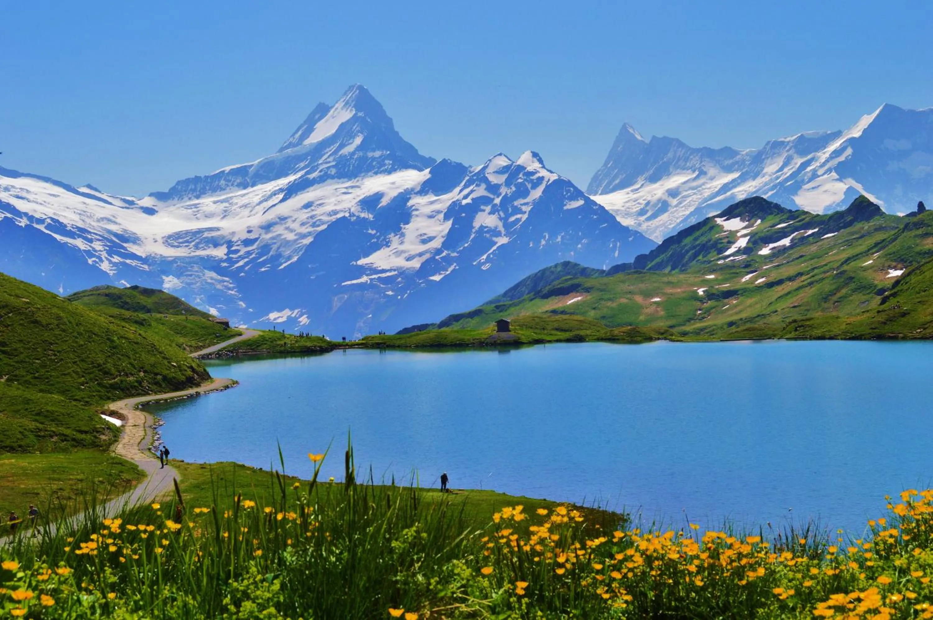 Area and facilities in Hotel Edelweiss
