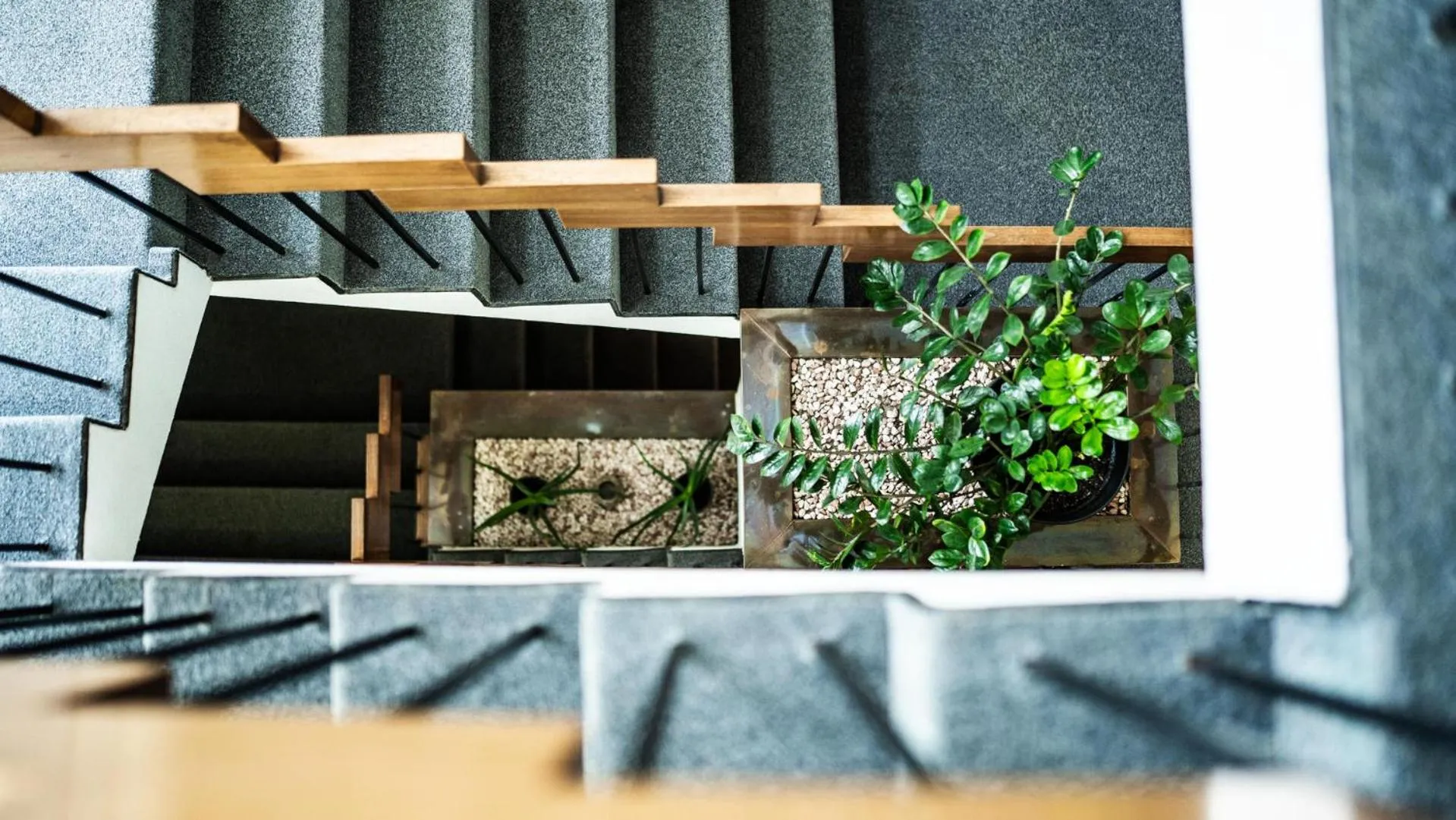 Property building in Boutique Hotel Kronenhof