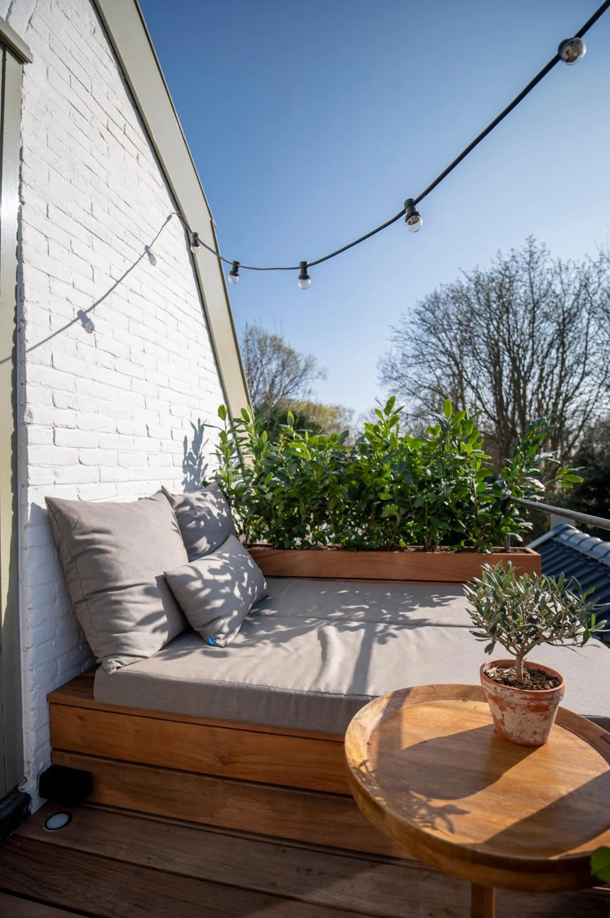 Garden in LODGE & LOFT