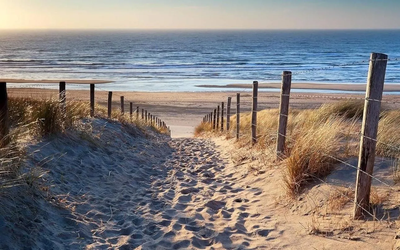 Area and facilities in LODGE & LOFT