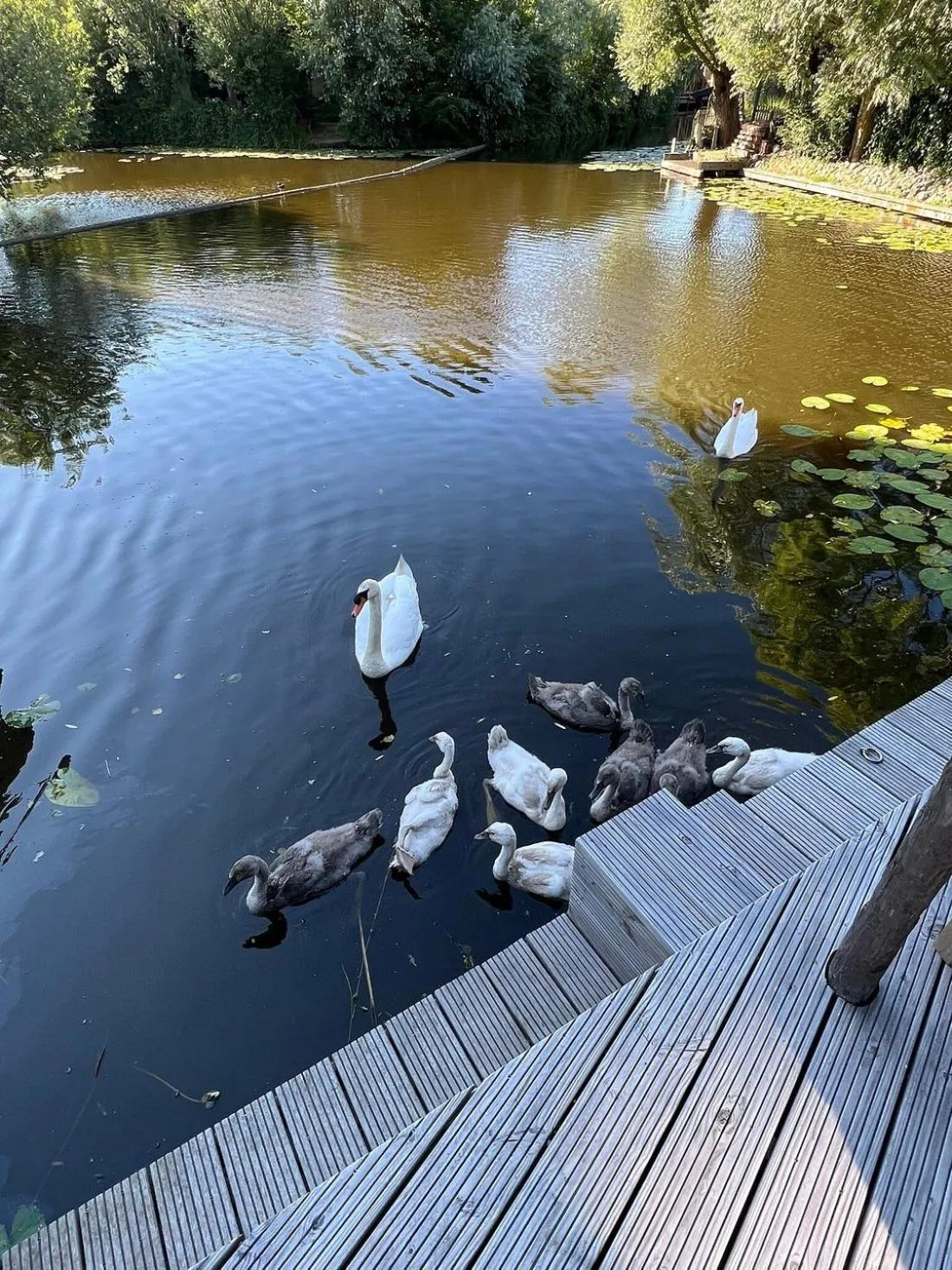 Balcony/Terrace in LODGE & LOFT