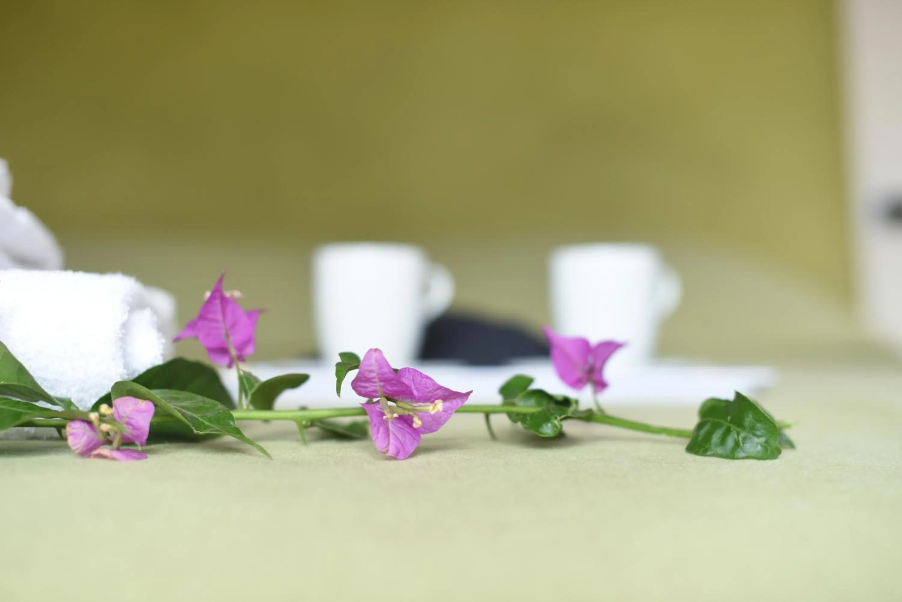 Decorative detail in Villa degli Argentieri