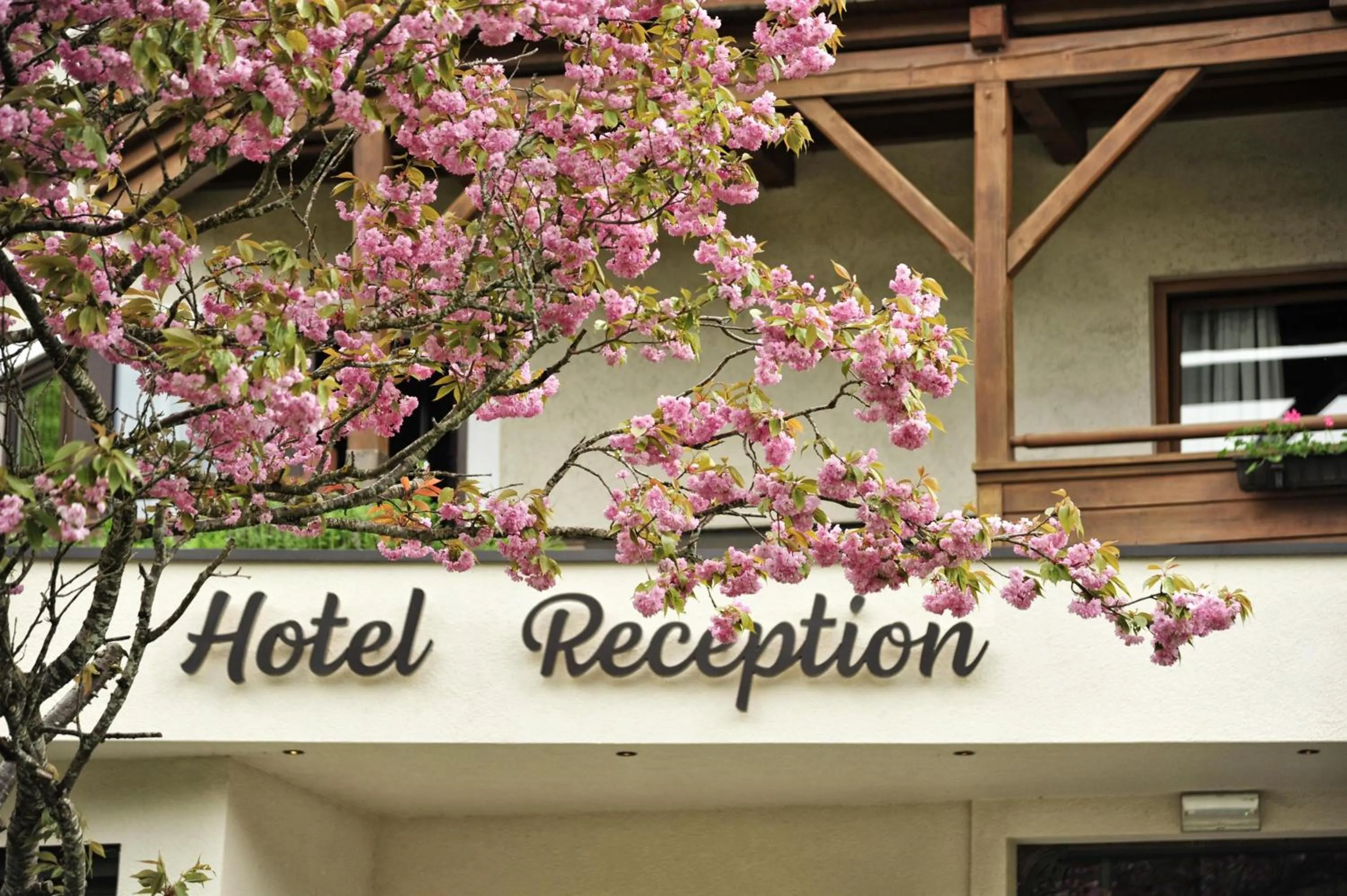 Lobby or reception in Fischerwirt am See