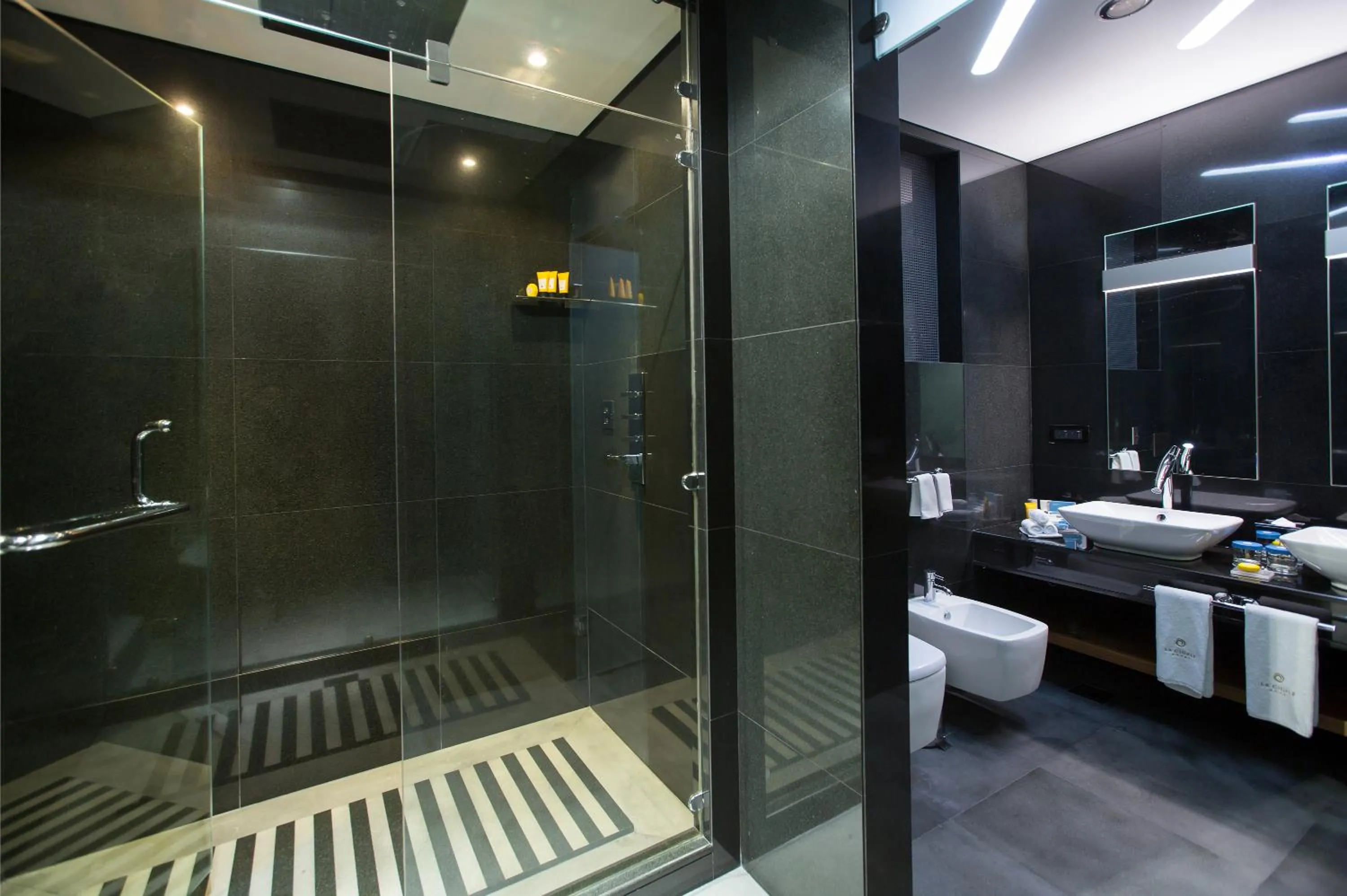 Shower in La Cigale Hotel Managed by Accor