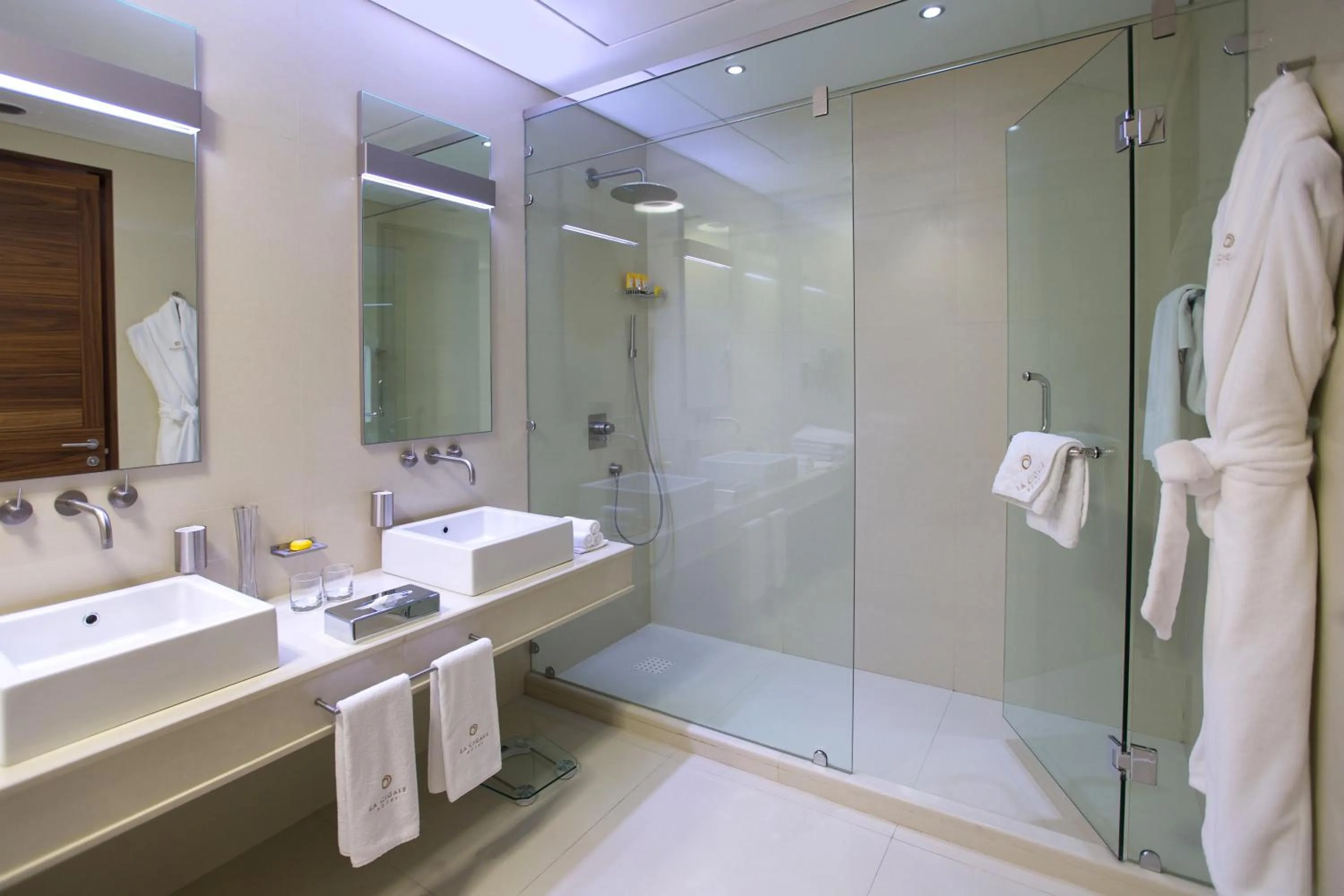 Shower in La Cigale Hotel Managed by Accor
