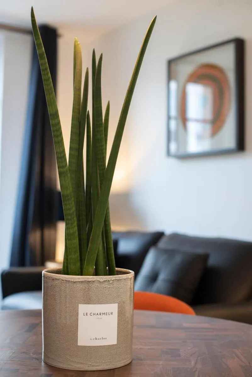 Other, Bed in O'Lord, 4 Etoiles, Residence de Luxe Champs-Elysees