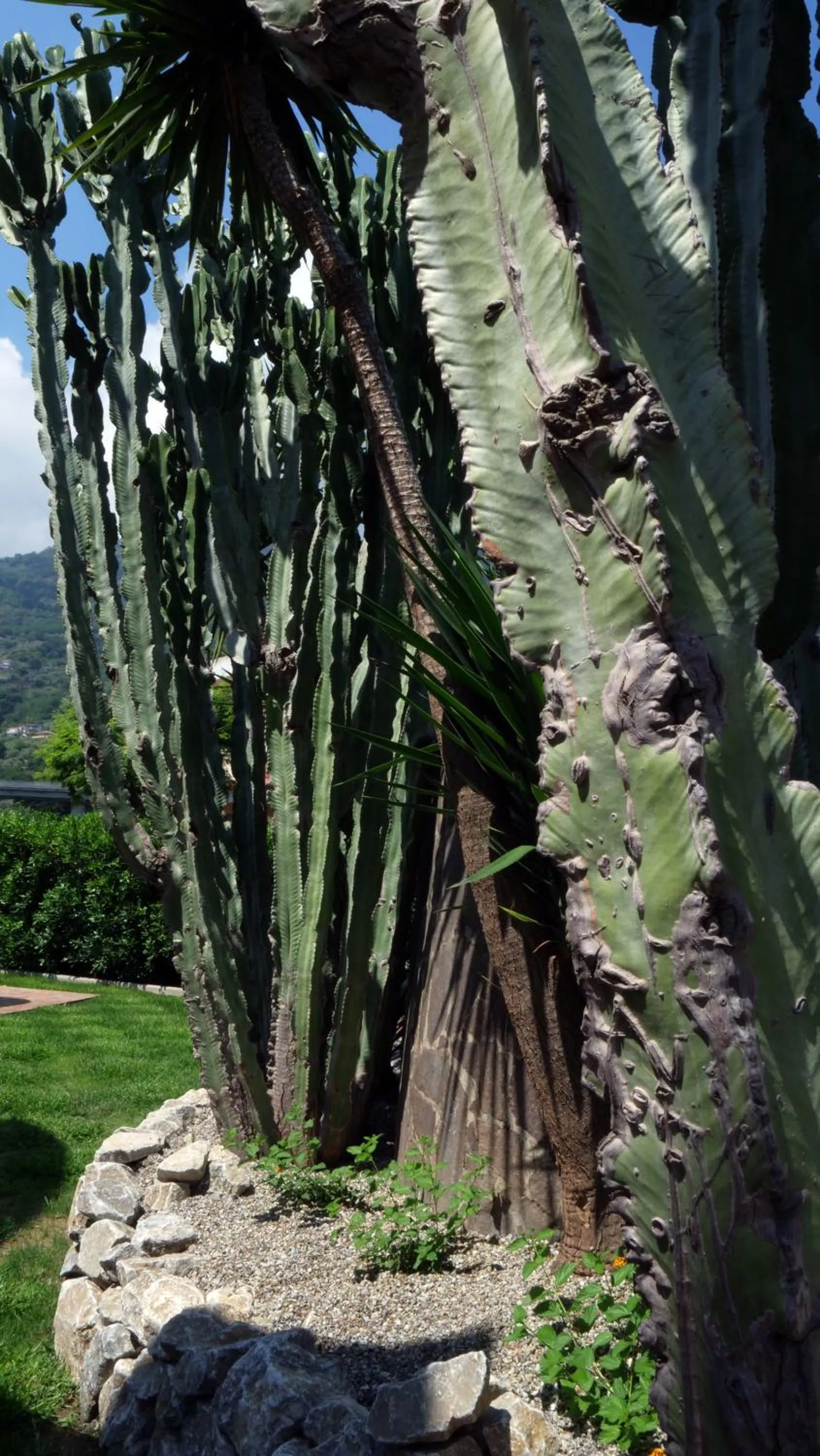 Day in Talìa Residence