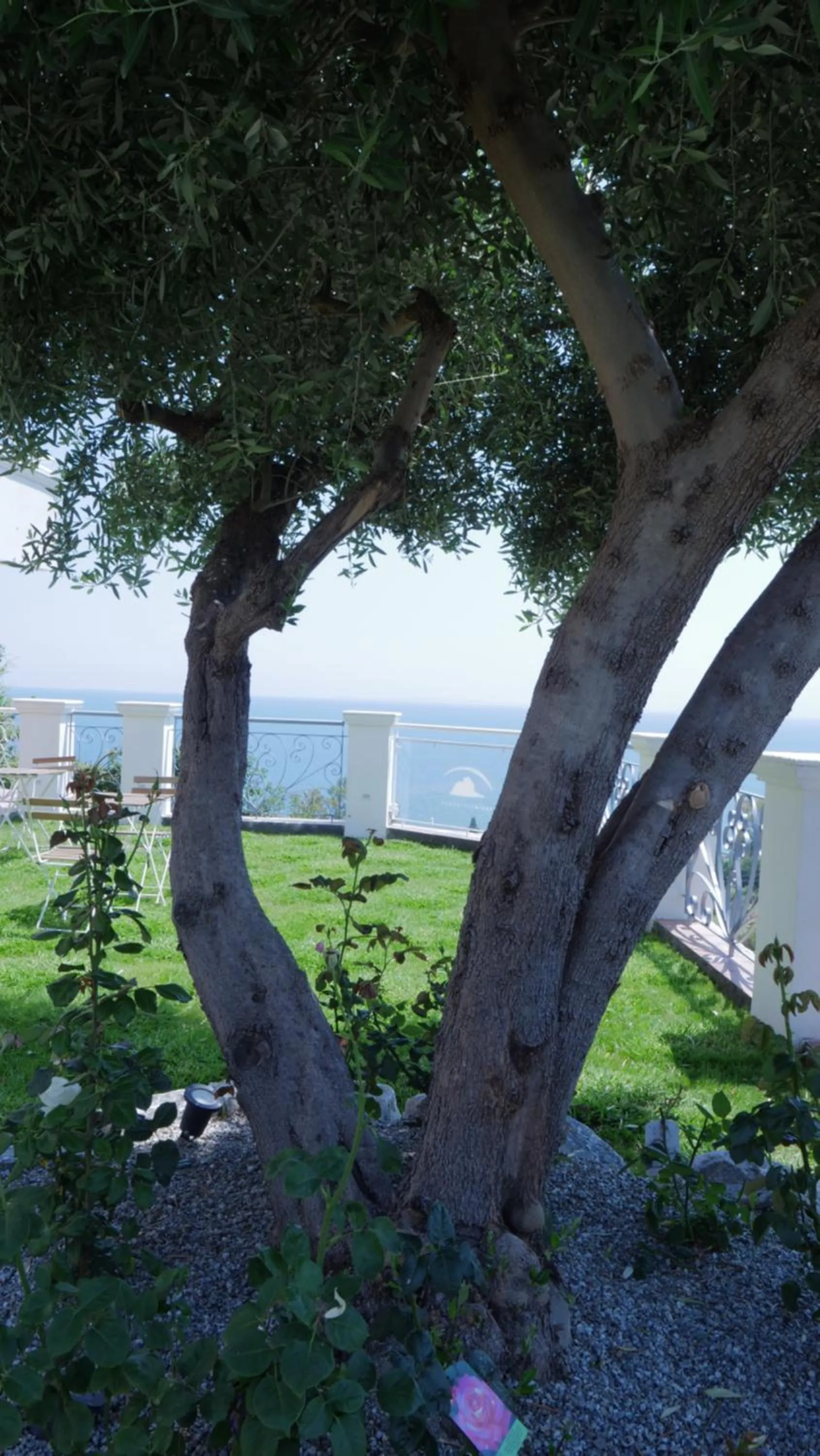 Garden in Talìa Residence