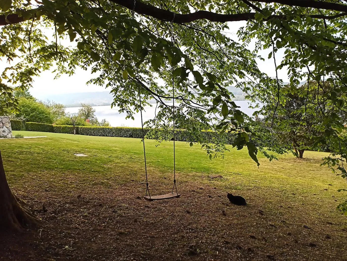 Garden in The Lake House