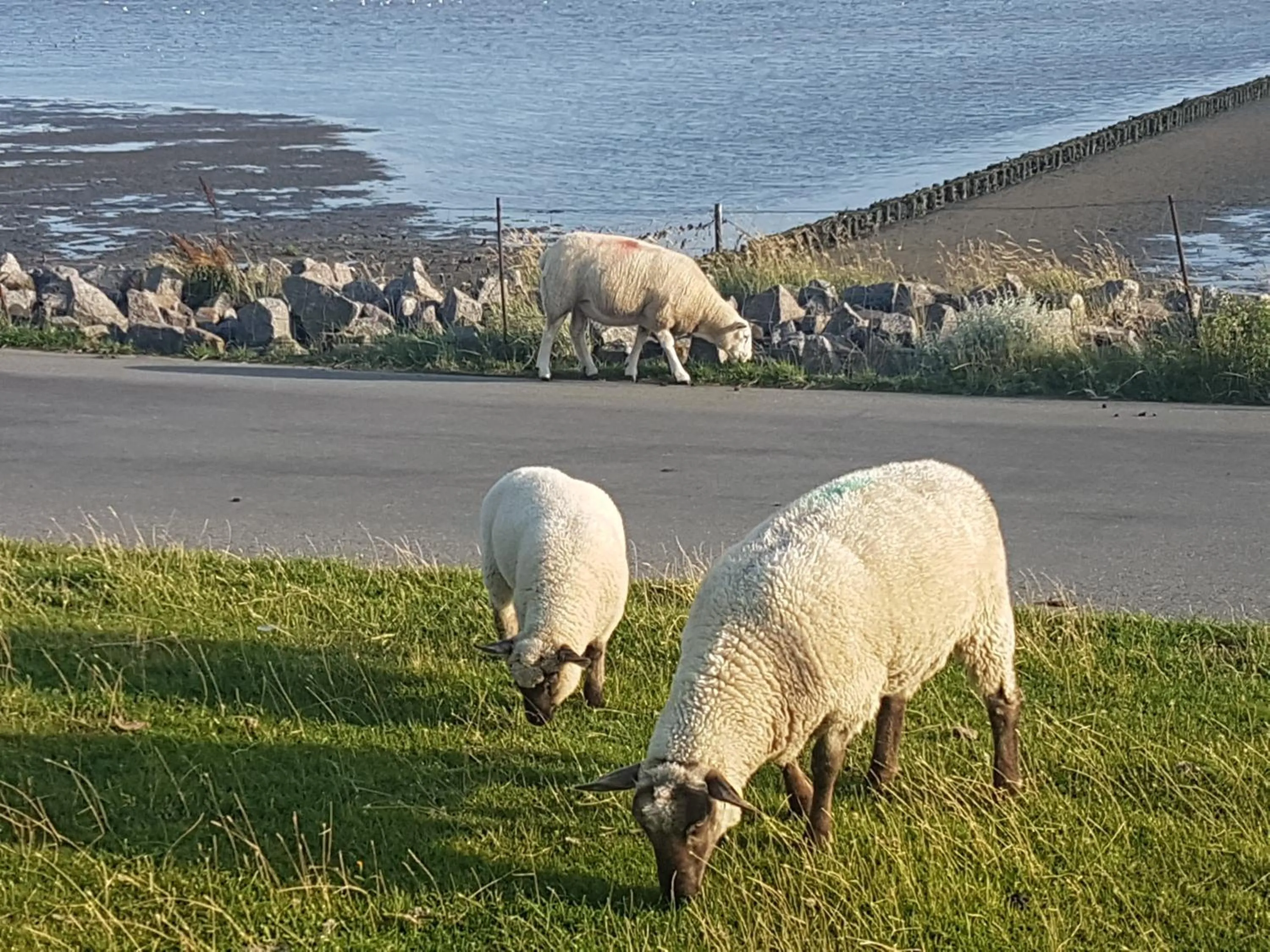 Natural landscape in Der Mühlenhof