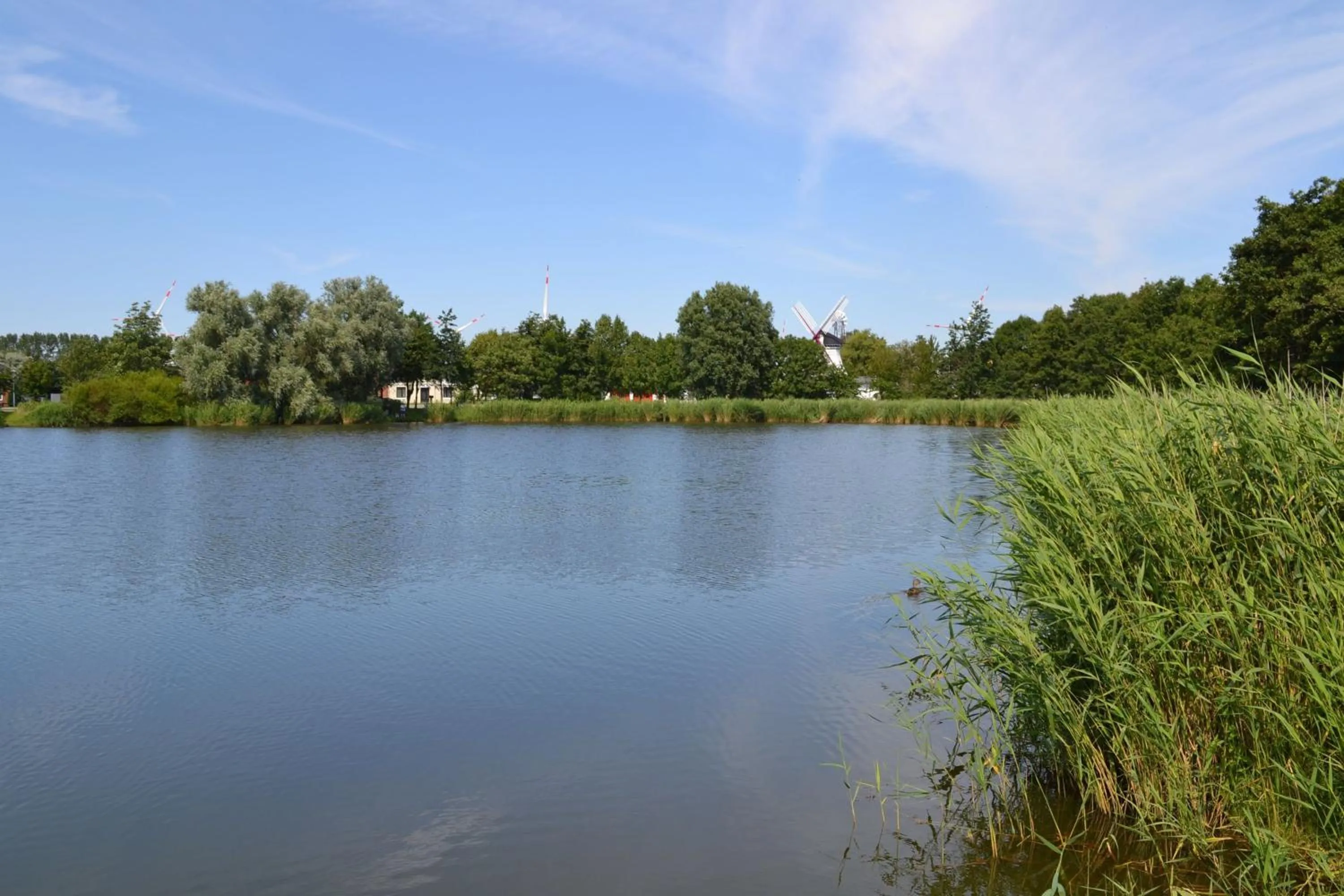Area and facilities in Der Mühlenhof