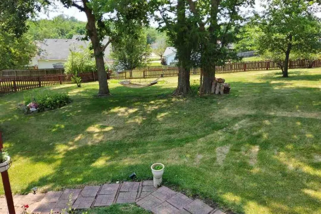 Garden in Smart Entire Loft, 3 br, 2 bath, with 3 tv