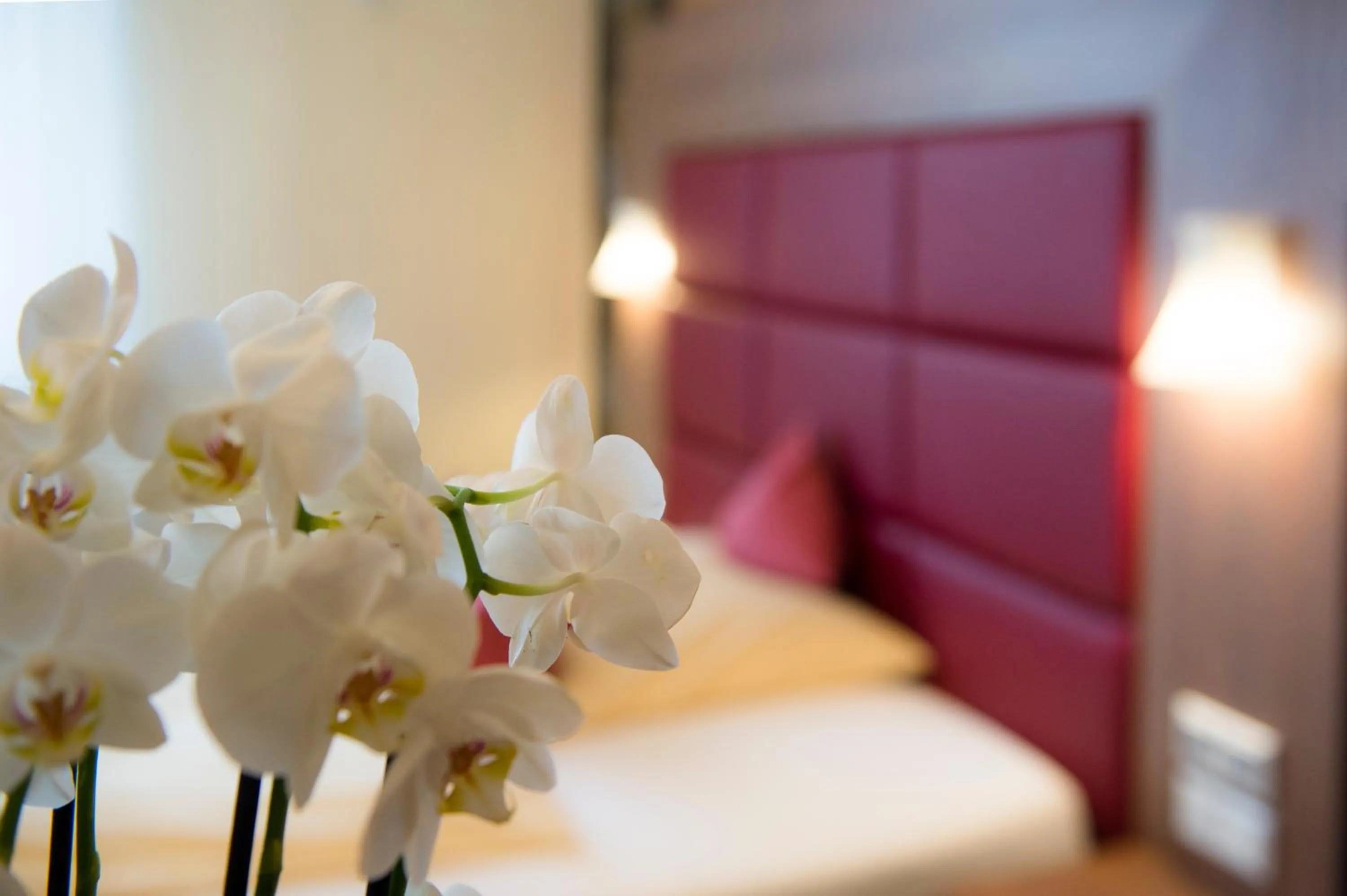 Bed in Ambient Hotel Zum Schwan