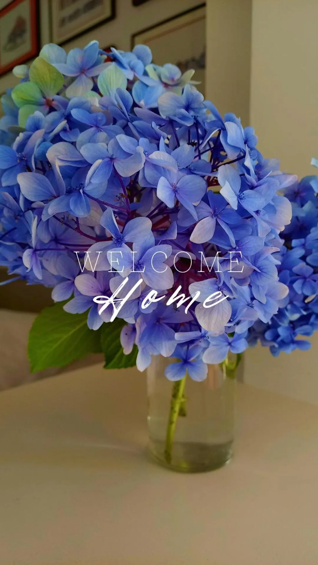 Decorative detail in VILLA XARAN ERDIAN Gîte LA PETITE MAISON