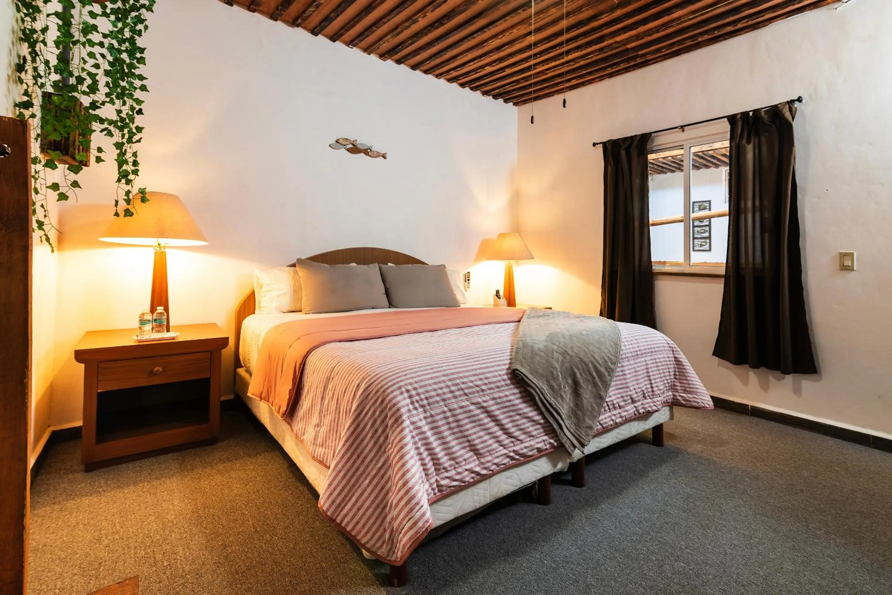 Bedroom in Capital O Posada Del Pescador, Los Cabos