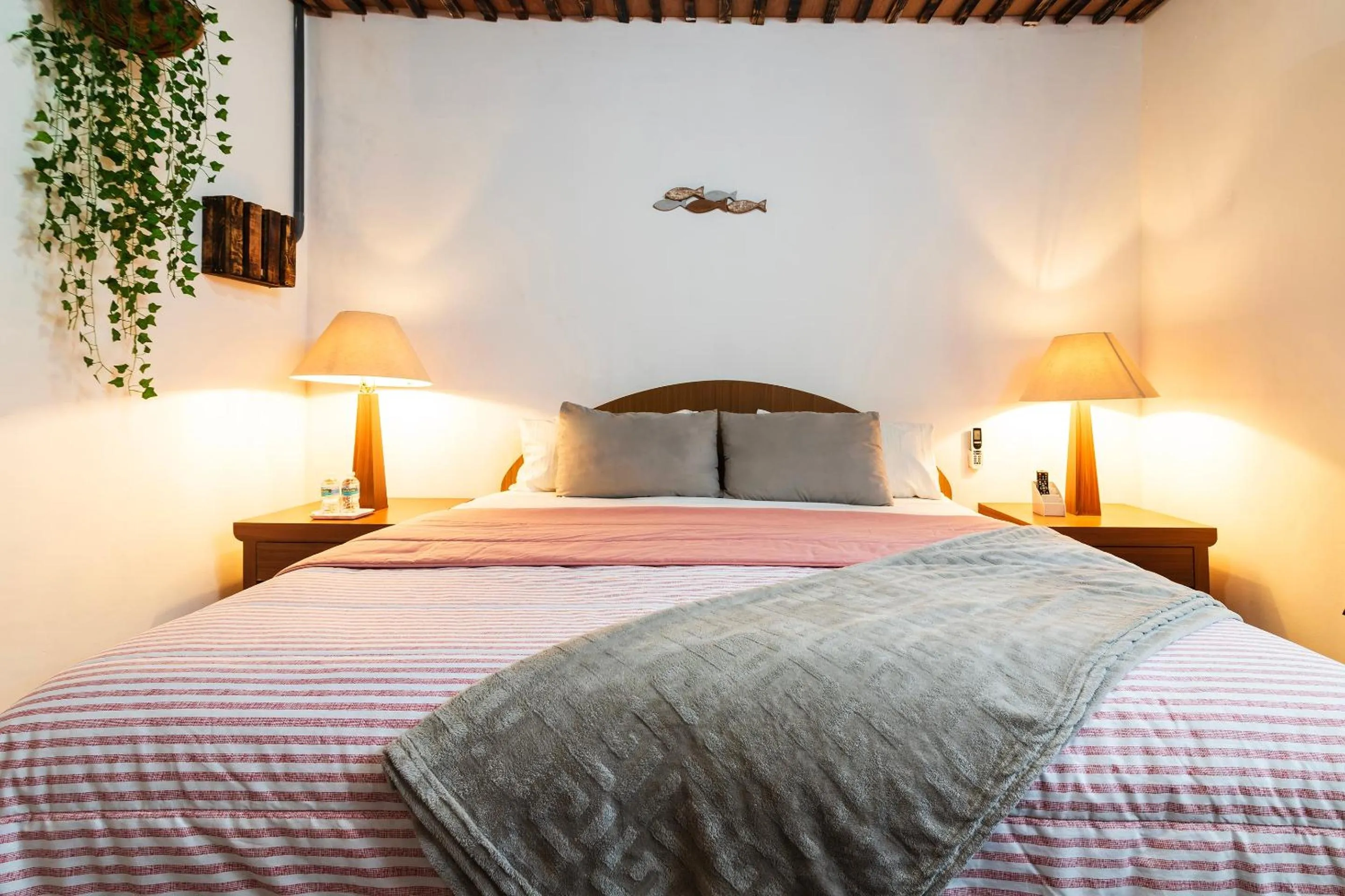 Bedroom in Capital O Posada Del Pescador, Los Cabos