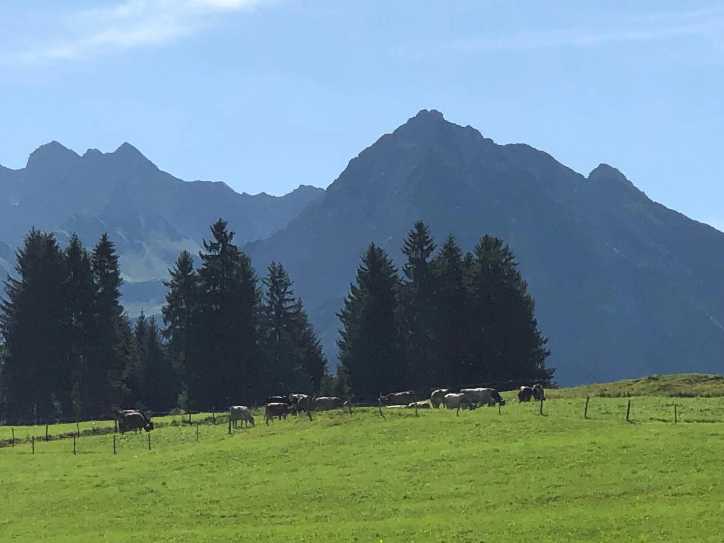 Natural landscape in Hotel garni Oberdorfer Stuben