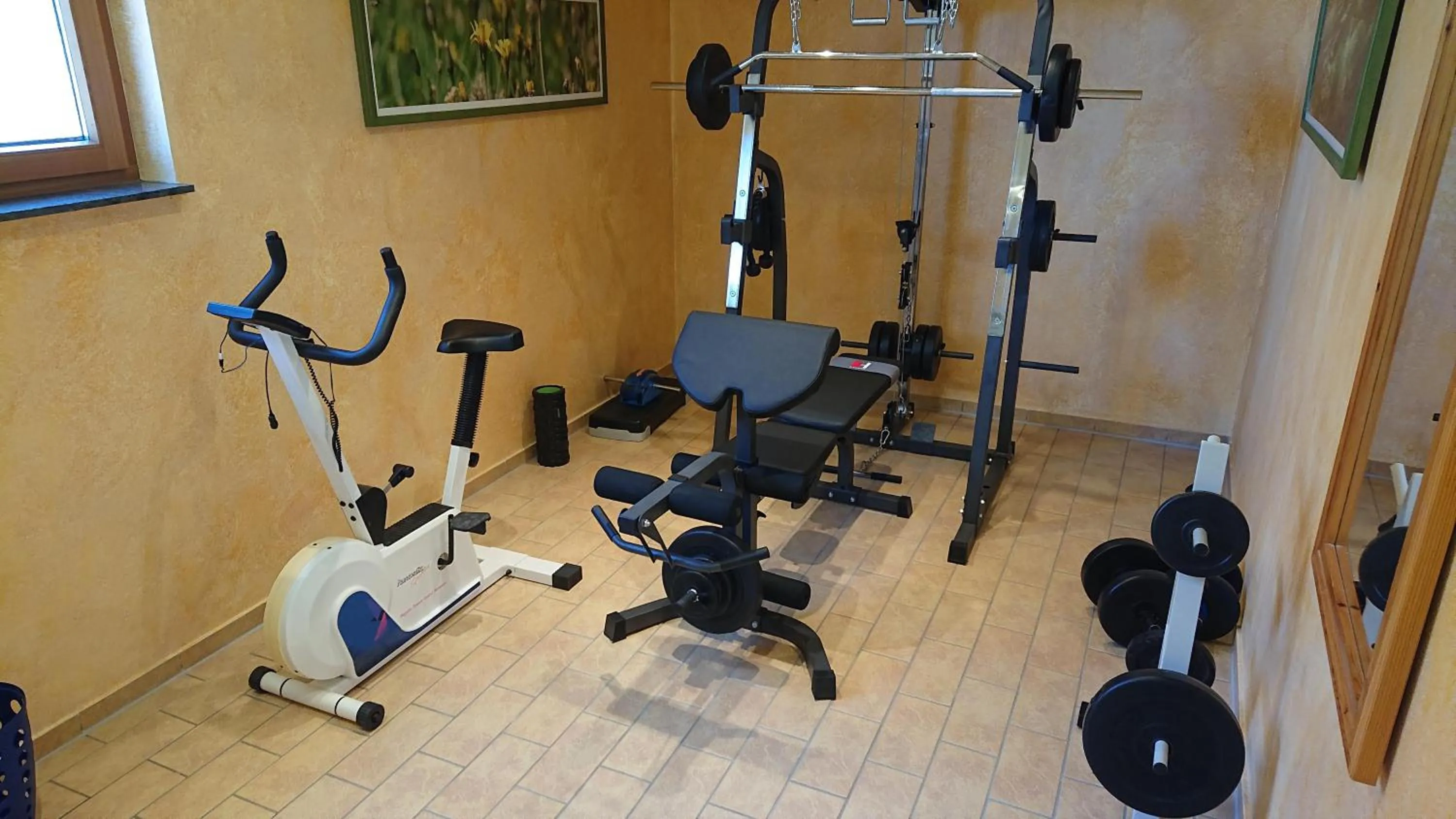 Fitness centre/facilities in Hotel und Berggasthof Zum Sonnenhof