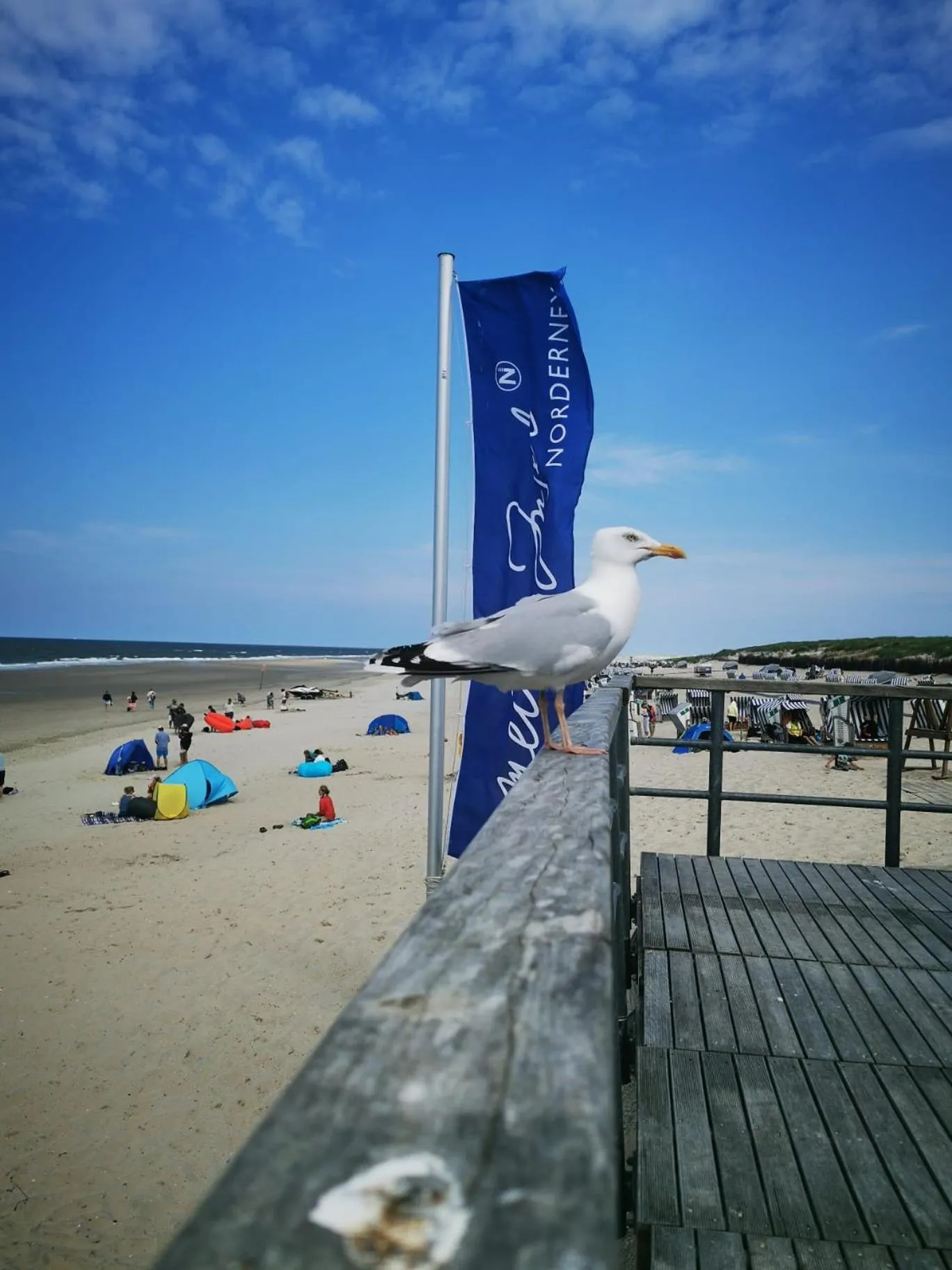 Day in Hotel Am Deich