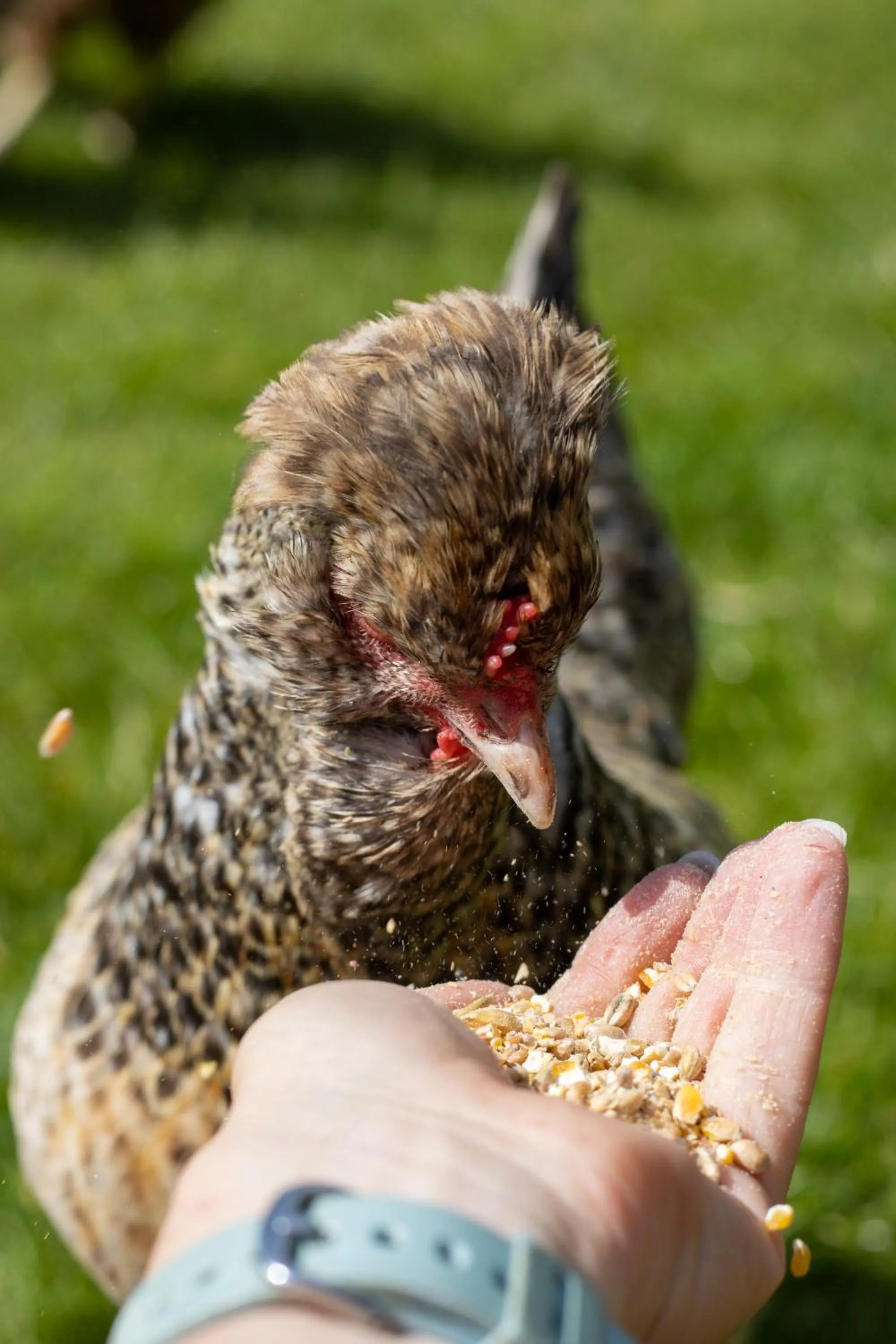 Hostel oder Ferienwohnung 1-16 Personen im BLAUEN HAUS