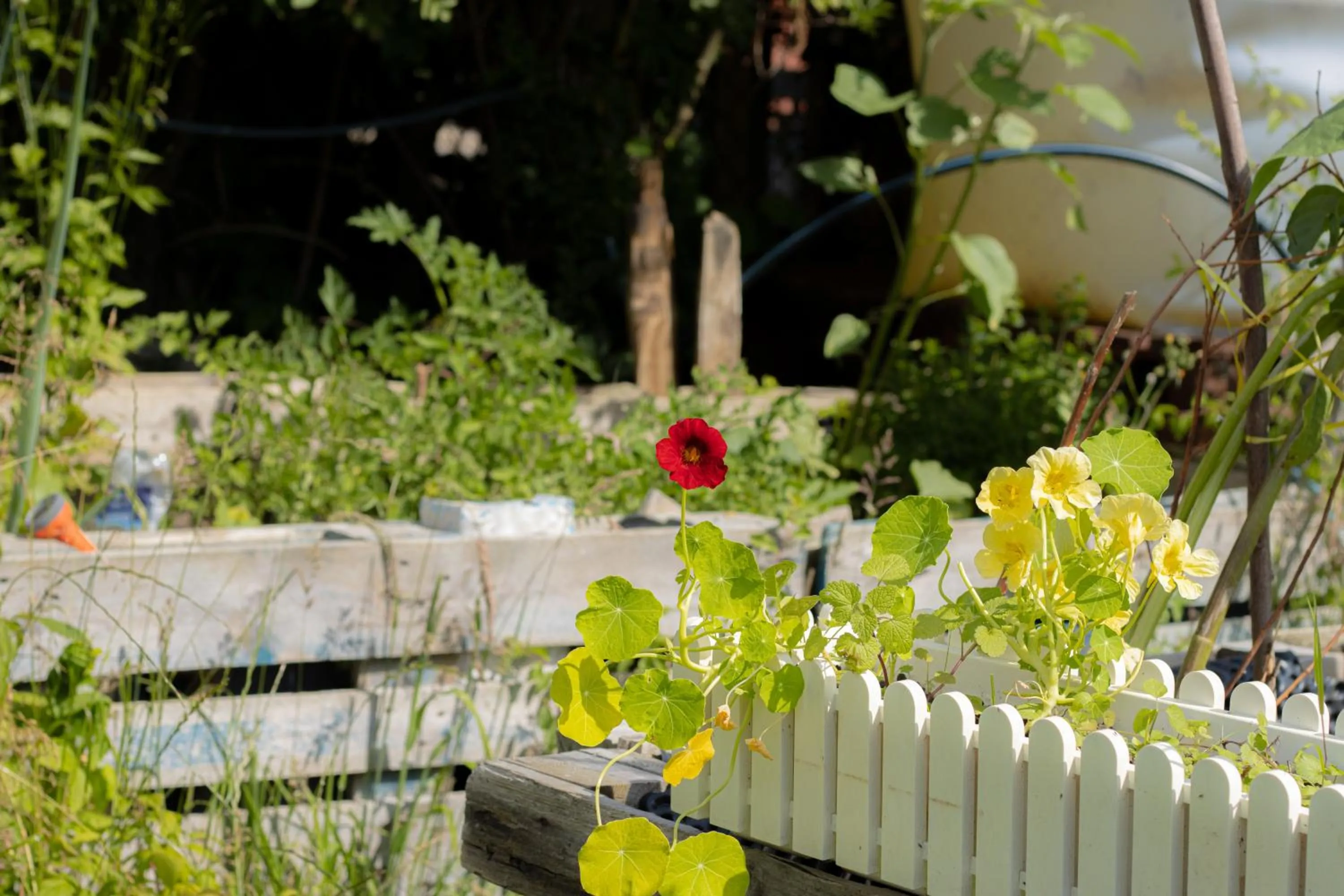 Hostel oder Ferienwohnung 1-16 Personen im BLAUEN HAUS