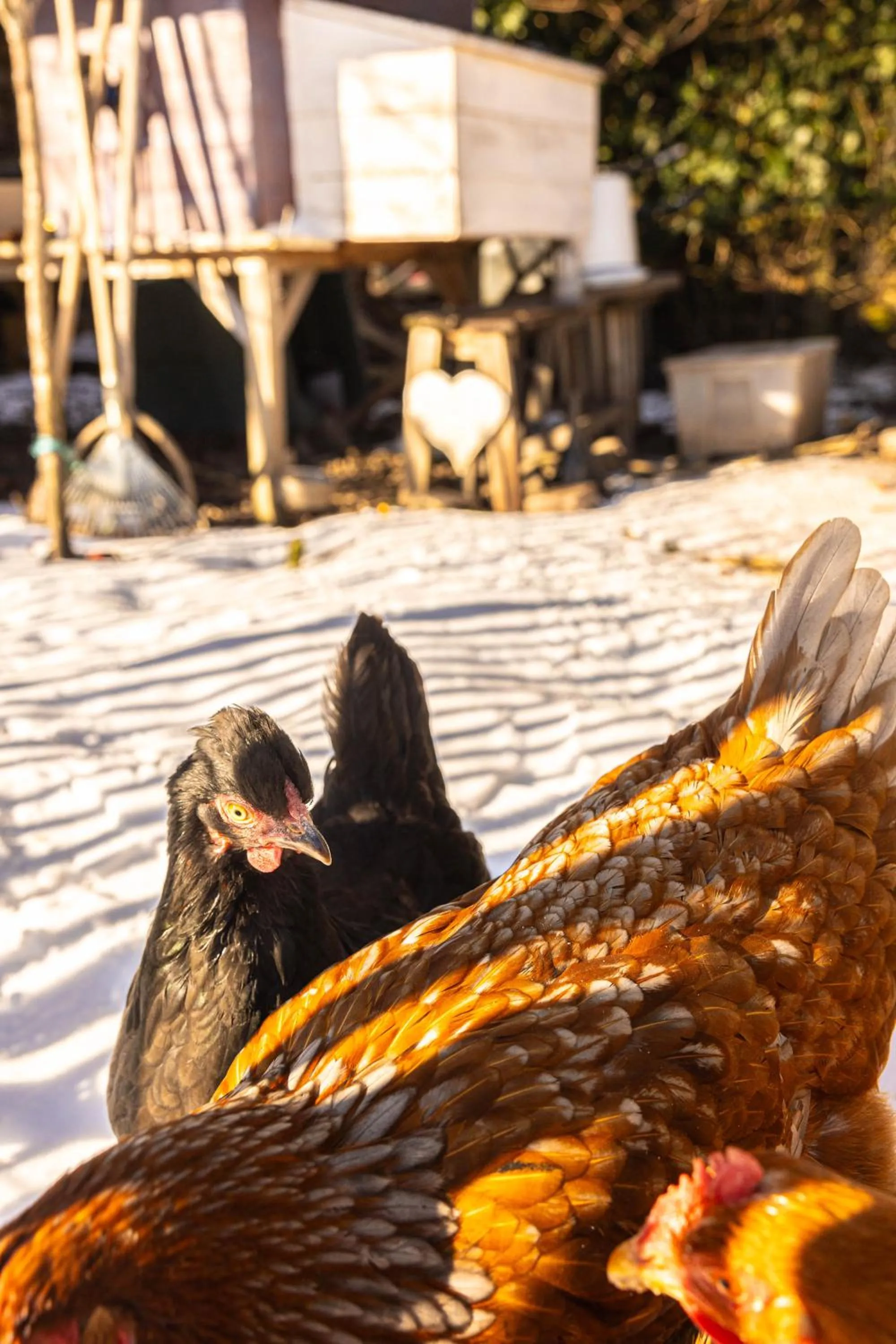 Hostel oder Ferienwohnung 1-16 Personen im BLAUEN HAUS