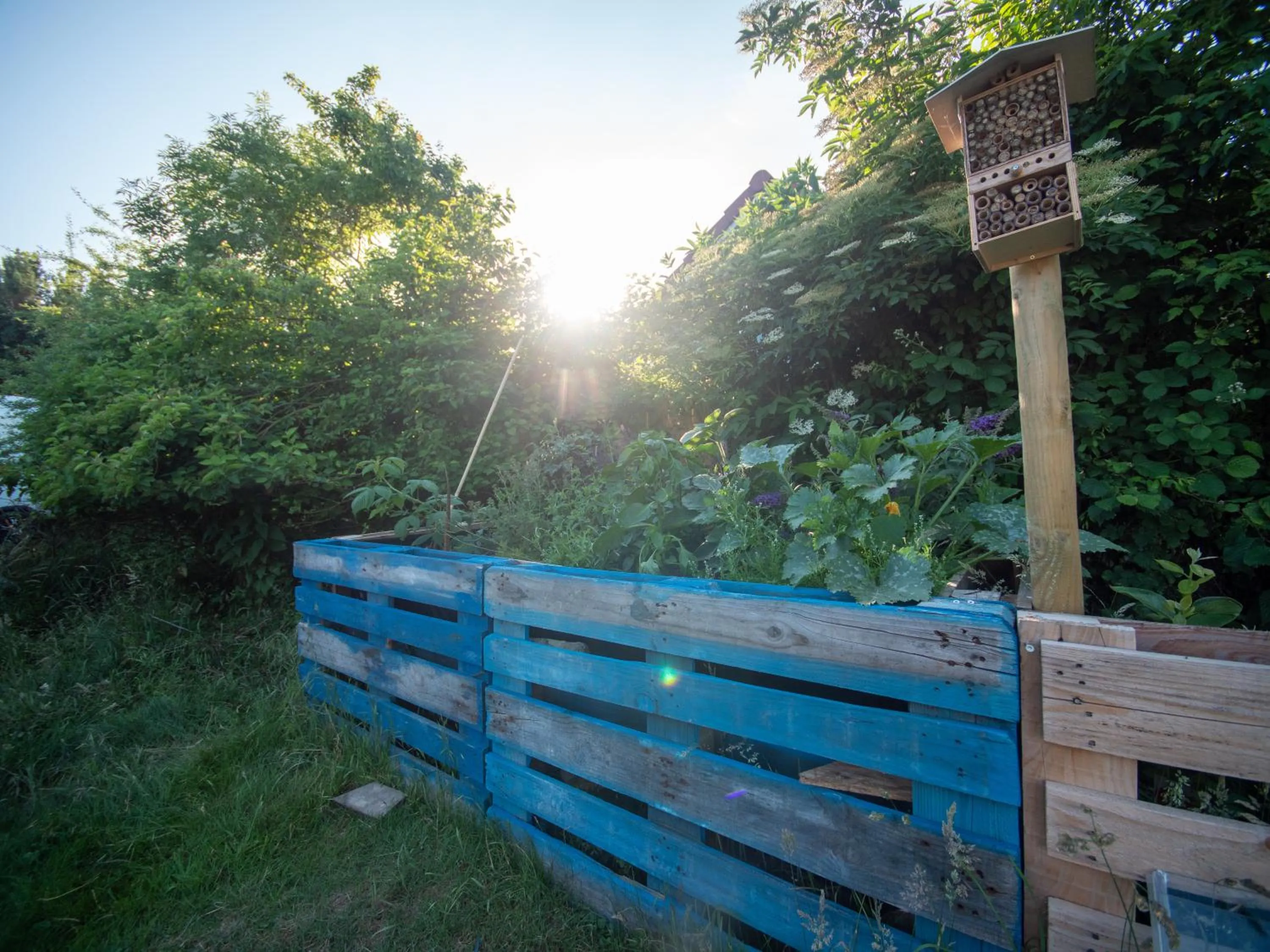 Garden in Hostel oder Ferienwohnung 1-16 Personen im BLAUEN HAUS