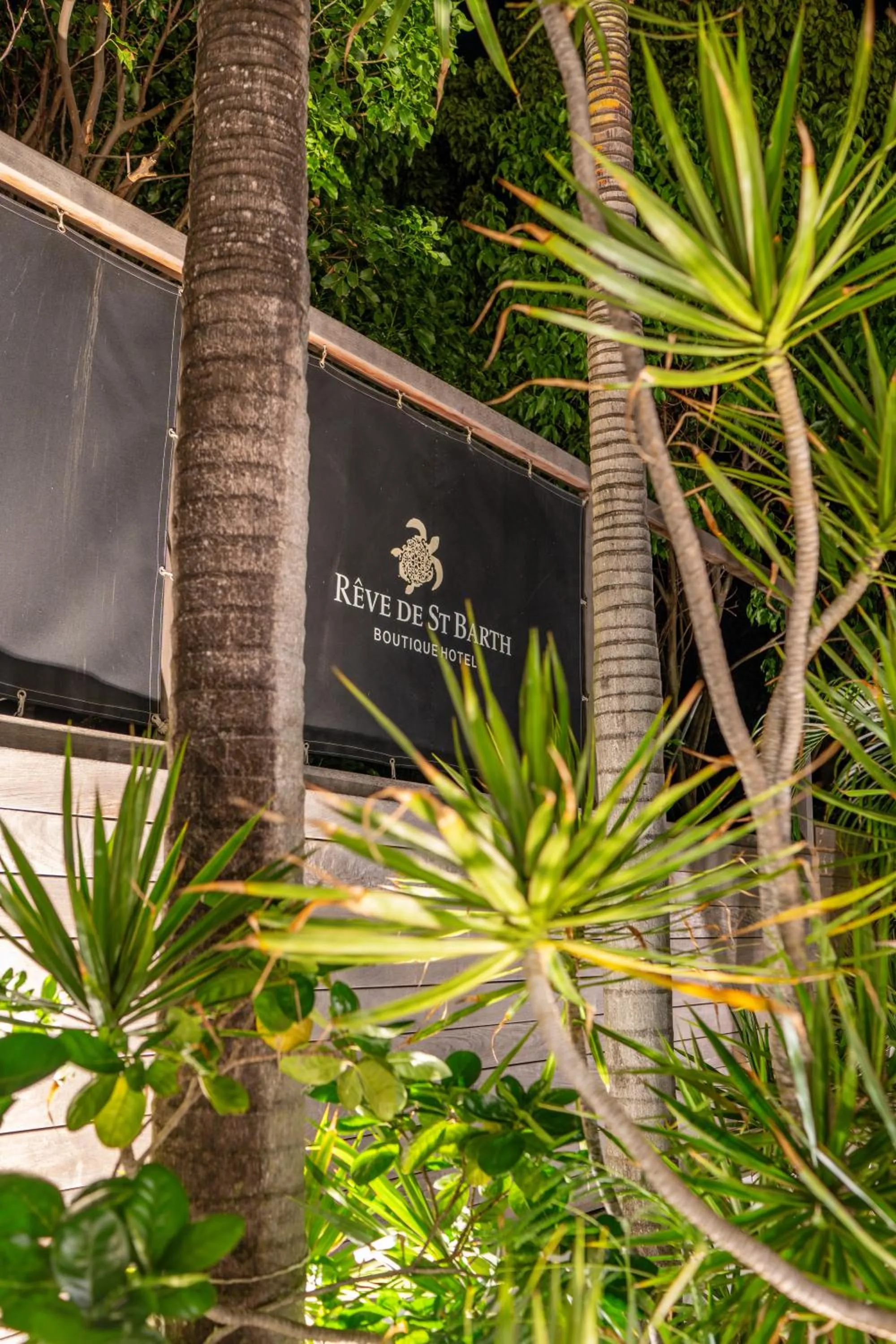 Garden in Rêve de Saint Barth - Vue Mer - Piscine Chauffée & Jacuzzi