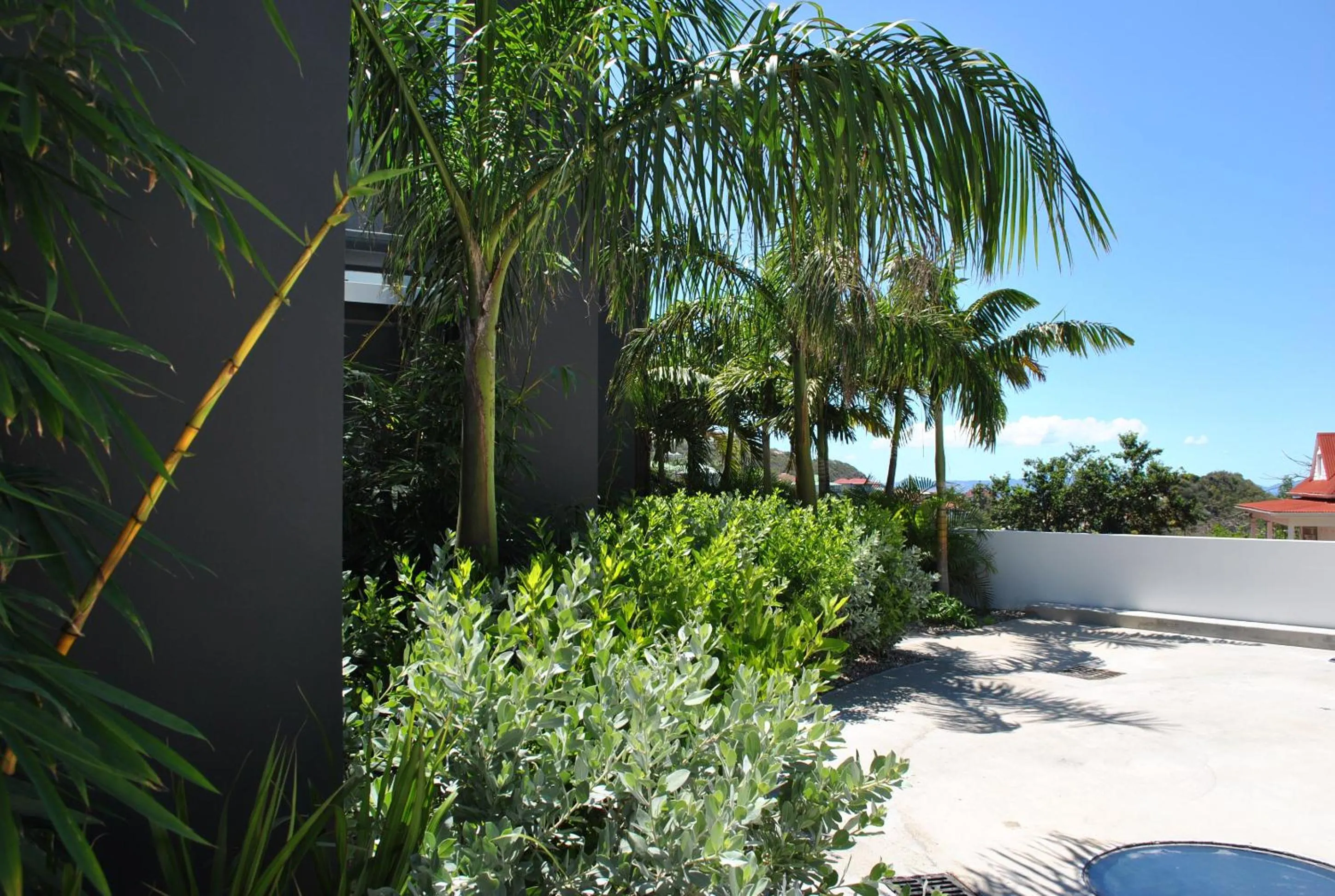 Garden in Rêve de Saint Barth - Vue Mer - Piscine Chauffée & Jacuzzi