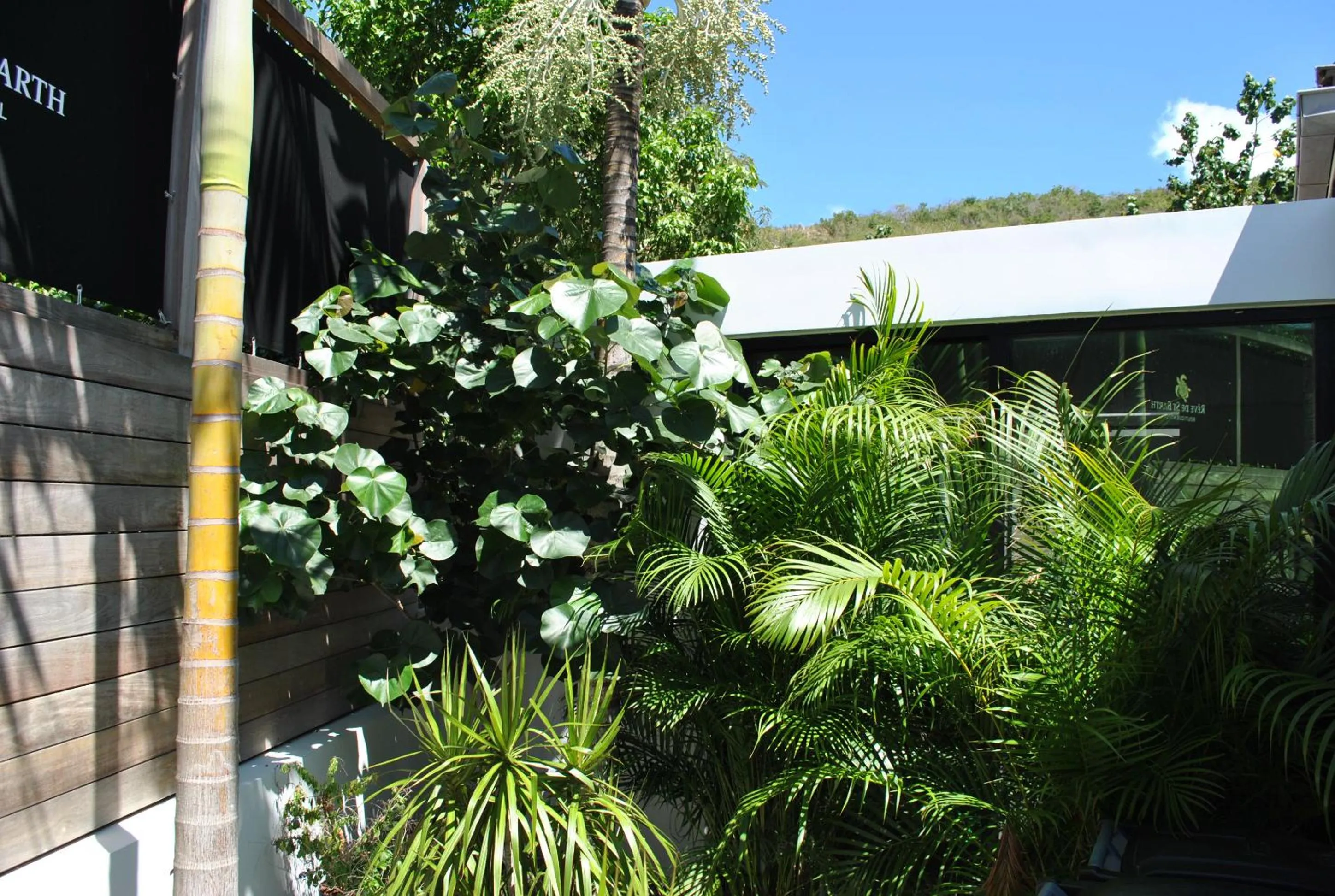 Garden in Rêve de Saint Barth - Vue Mer - Piscine Chauffée & Jacuzzi