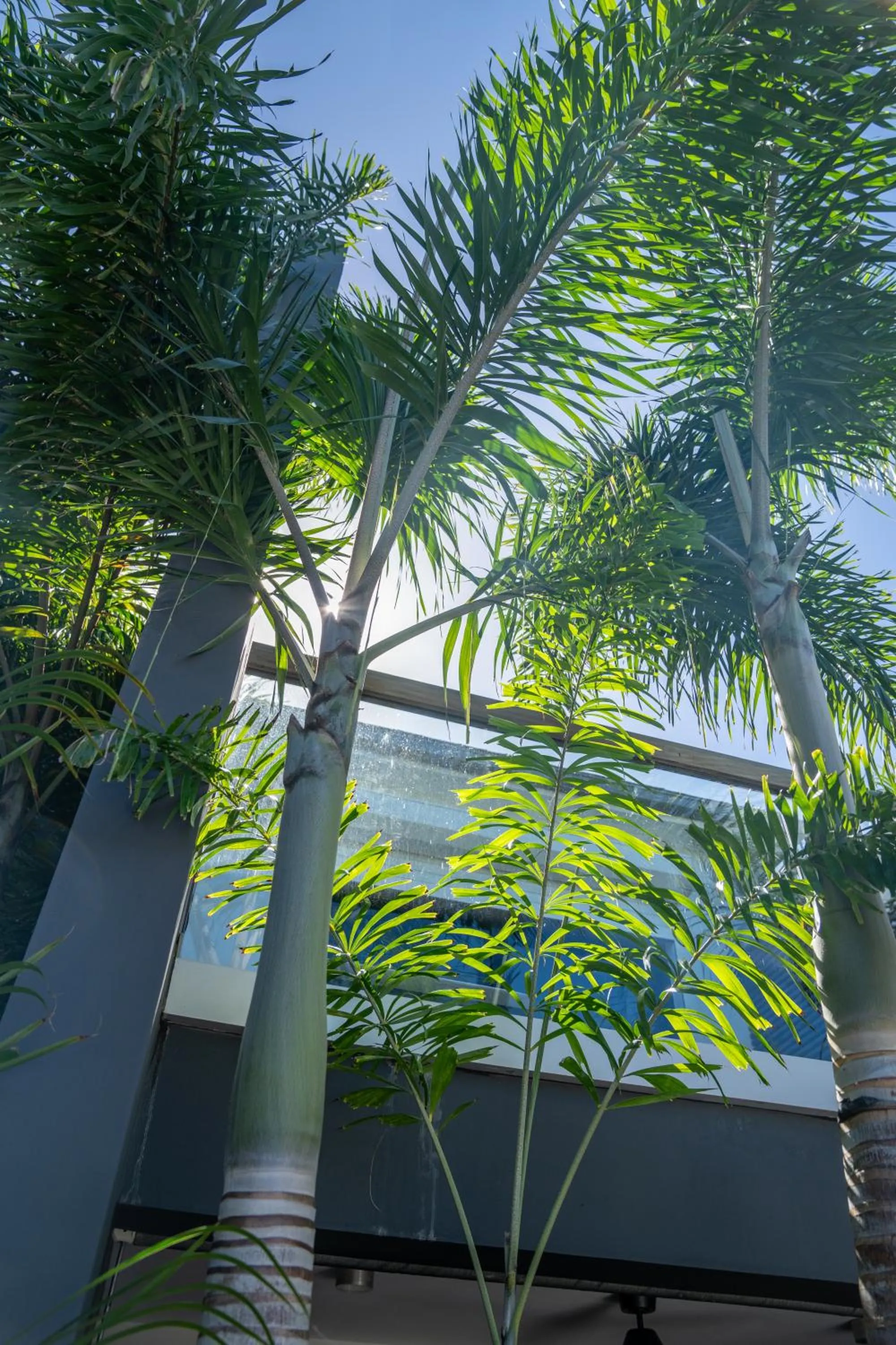 Garden in Rêve de Saint Barth - Vue Mer - Piscine Chauffée & Jacuzzi