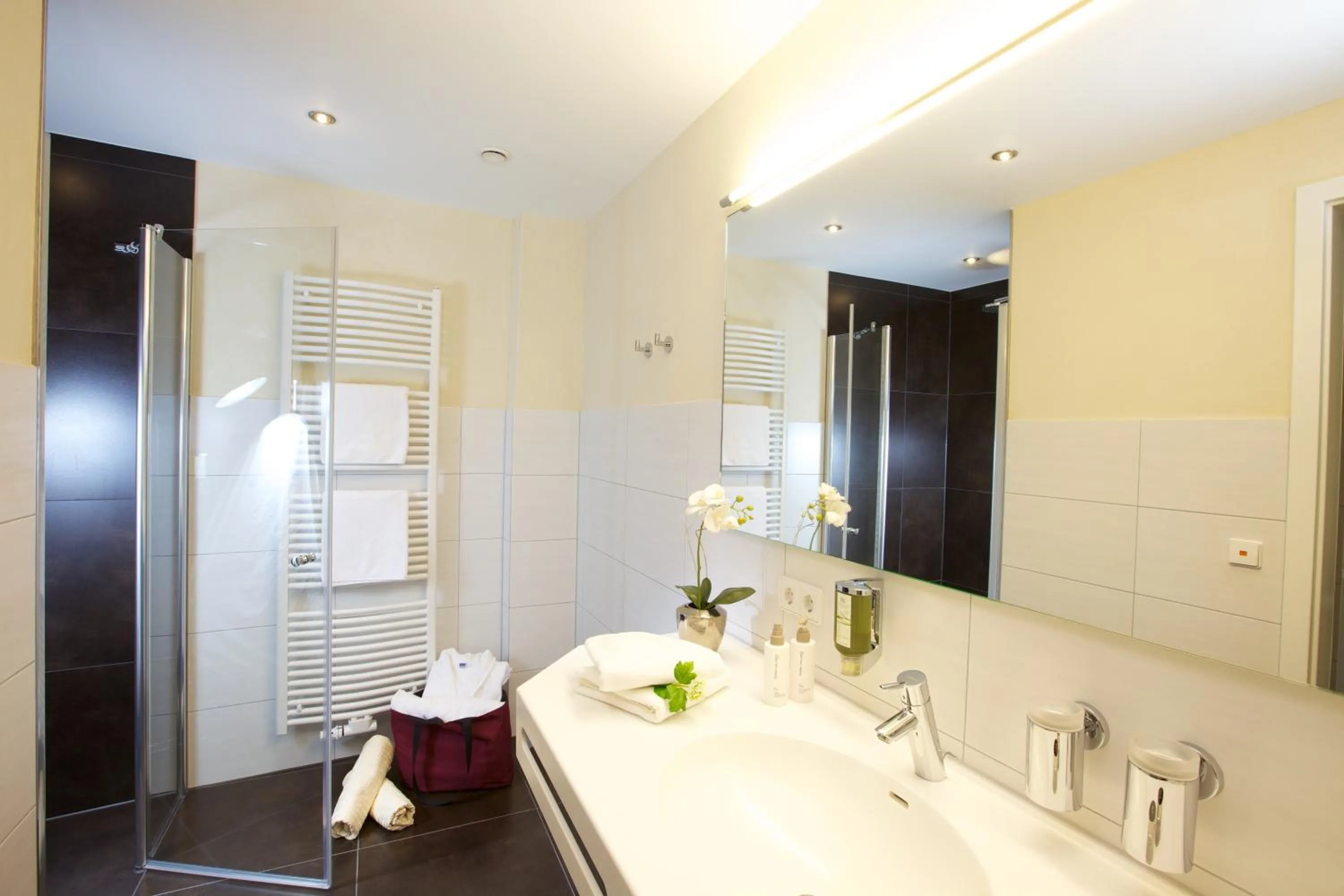 Shower in Naturparkhotel Adler