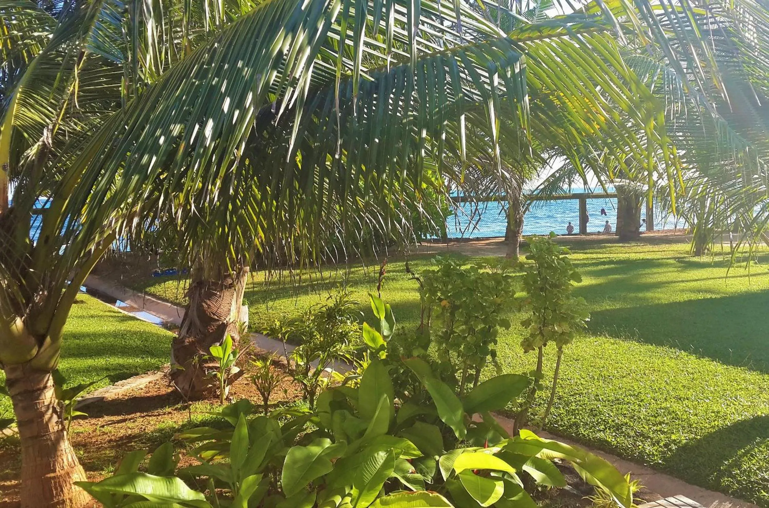Garden view in IMAGINE Villa Hotel