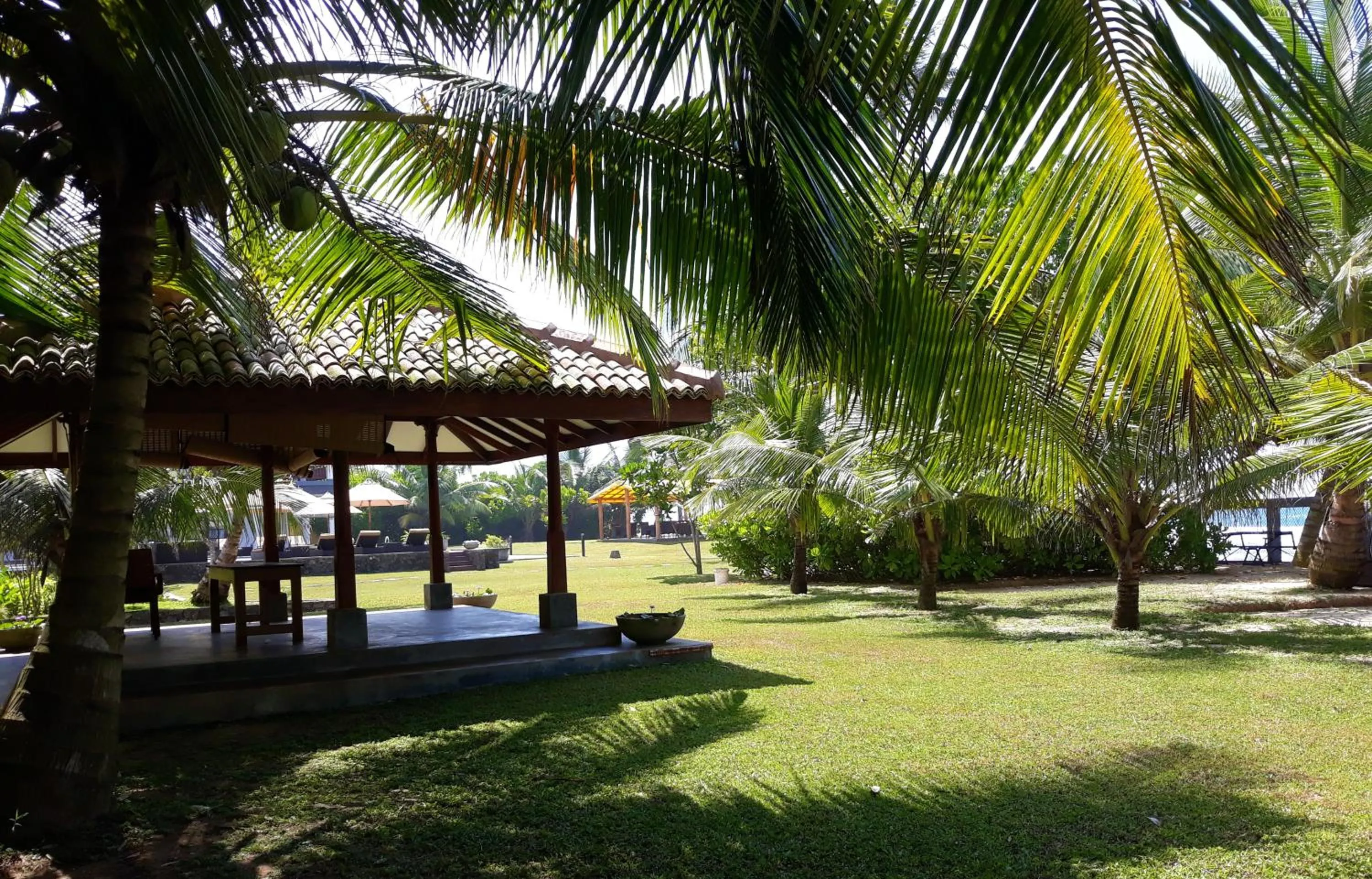 Garden in IMAGINE Villa Hotel