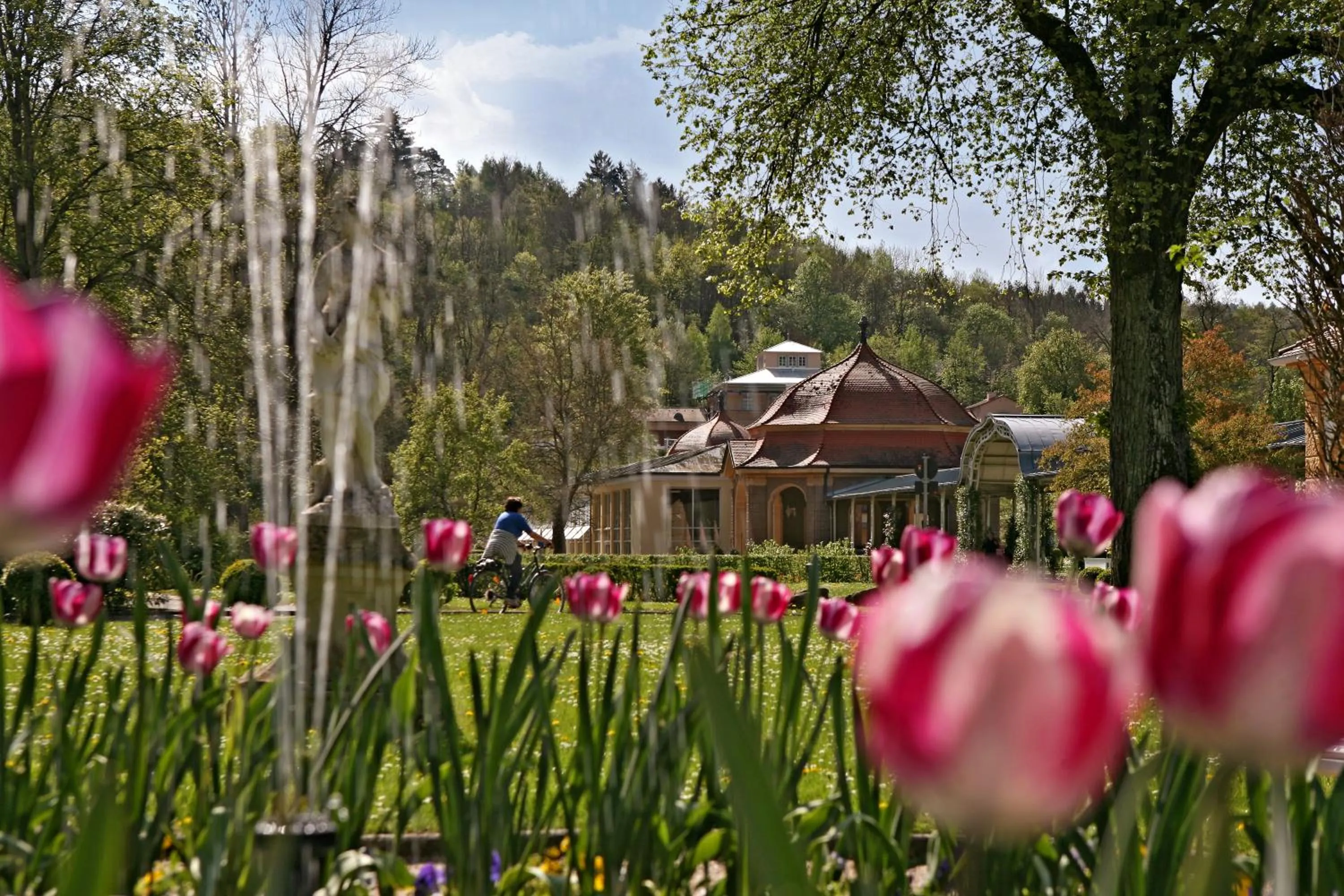 Natural landscape in Badhotel Bad Brückenau