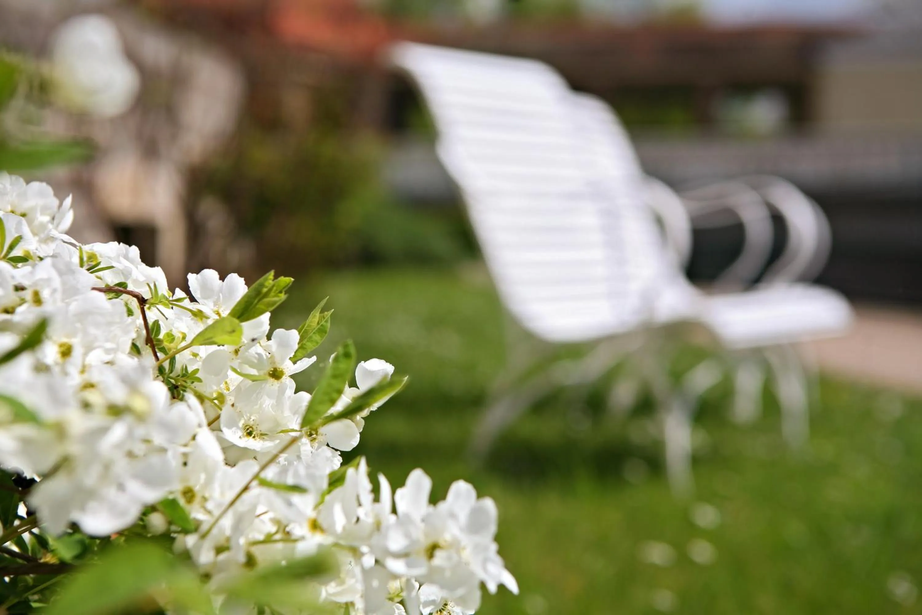 Natural landscape in Badhotel Bad Brückenau