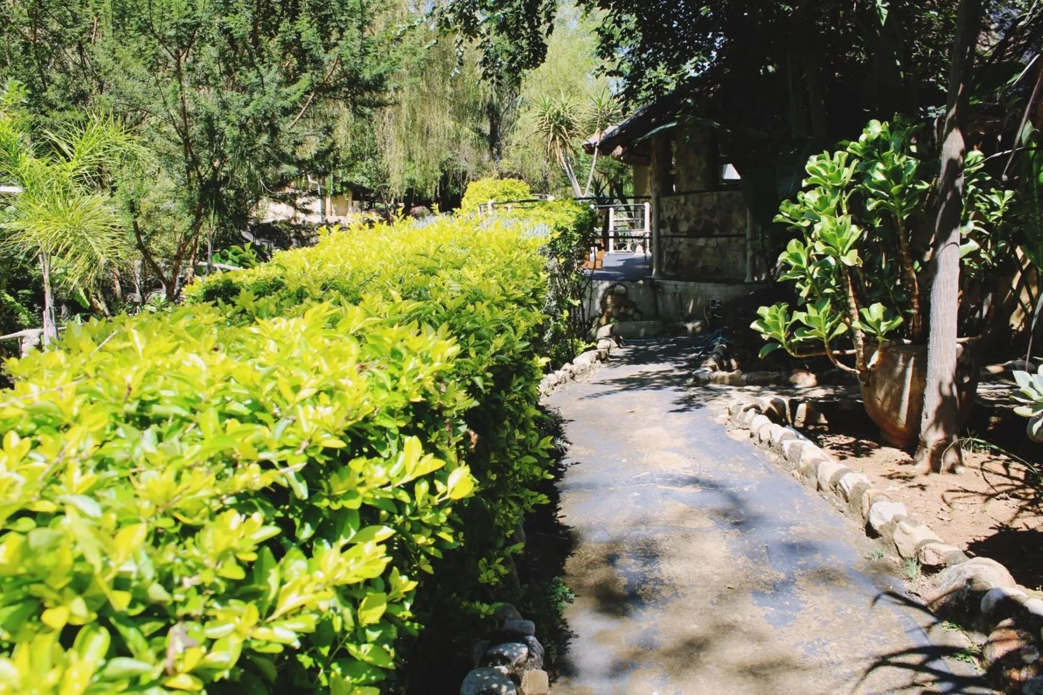 View (from property/room) in BON Hotel Rustenburg